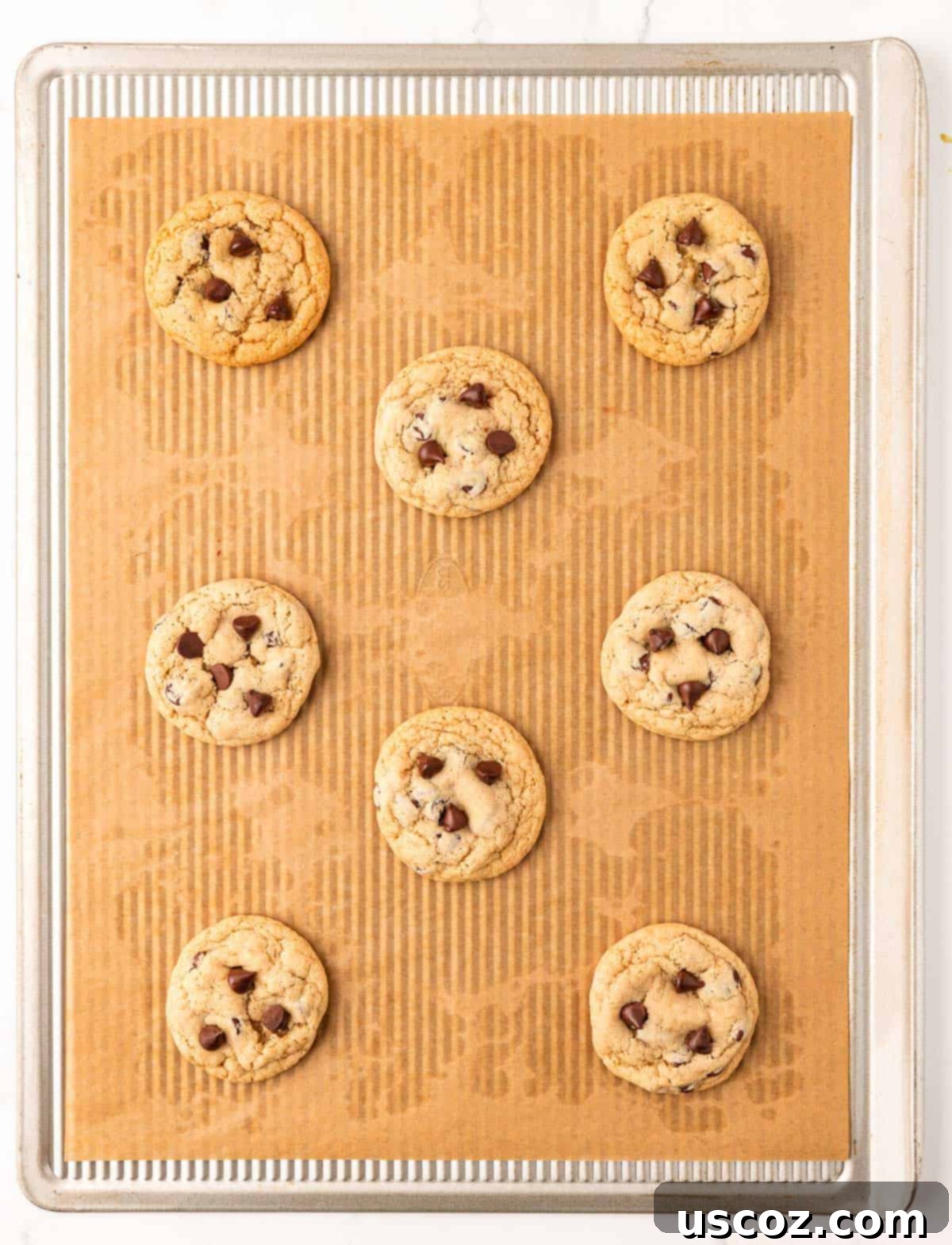 Delicious Vegan Chocolate Chip Cookies 14 rows of vegan chocolate chip cookies on a baking sheet, freshly baked and still warm