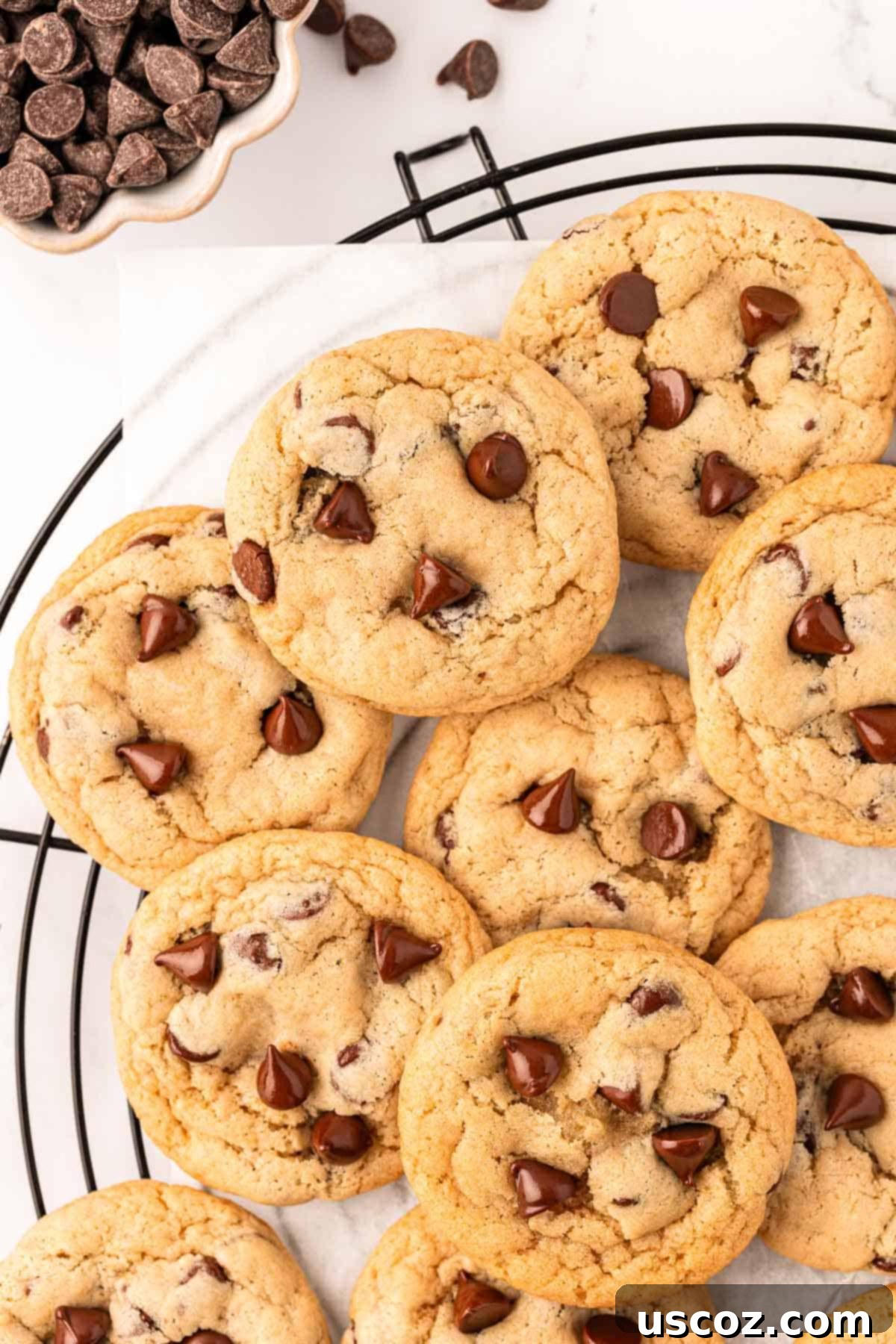 Delicious Vegan Chocolate Chip Cookies 15 freshly baked vegan chocolate chip cookies cooling on a wire rack