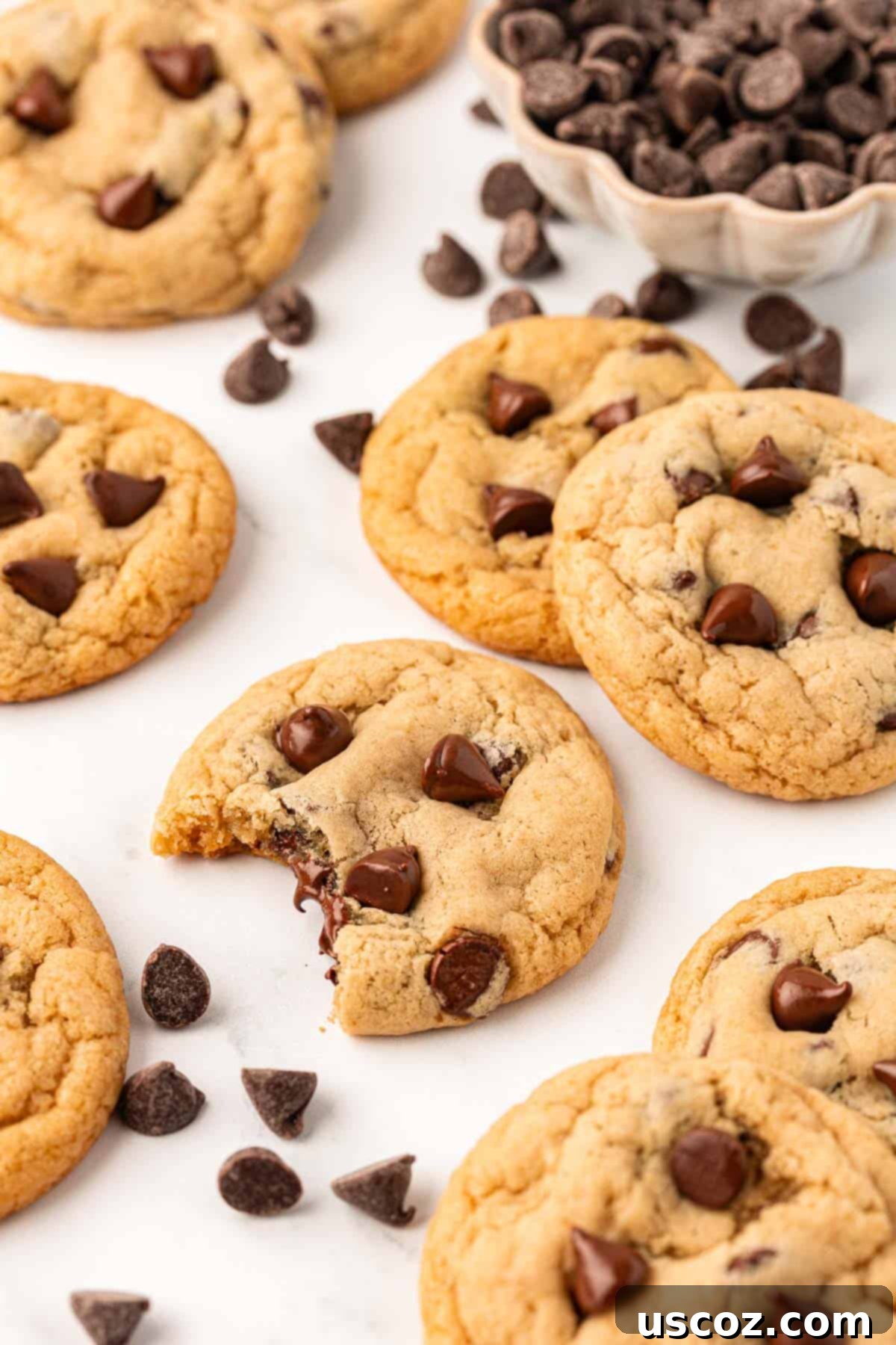 Delicious Vegan Chocolate Chip Cookies 16 a single vegan chocolate chip cookie broken in half, showing its soft, gooey interior and melted chocolate