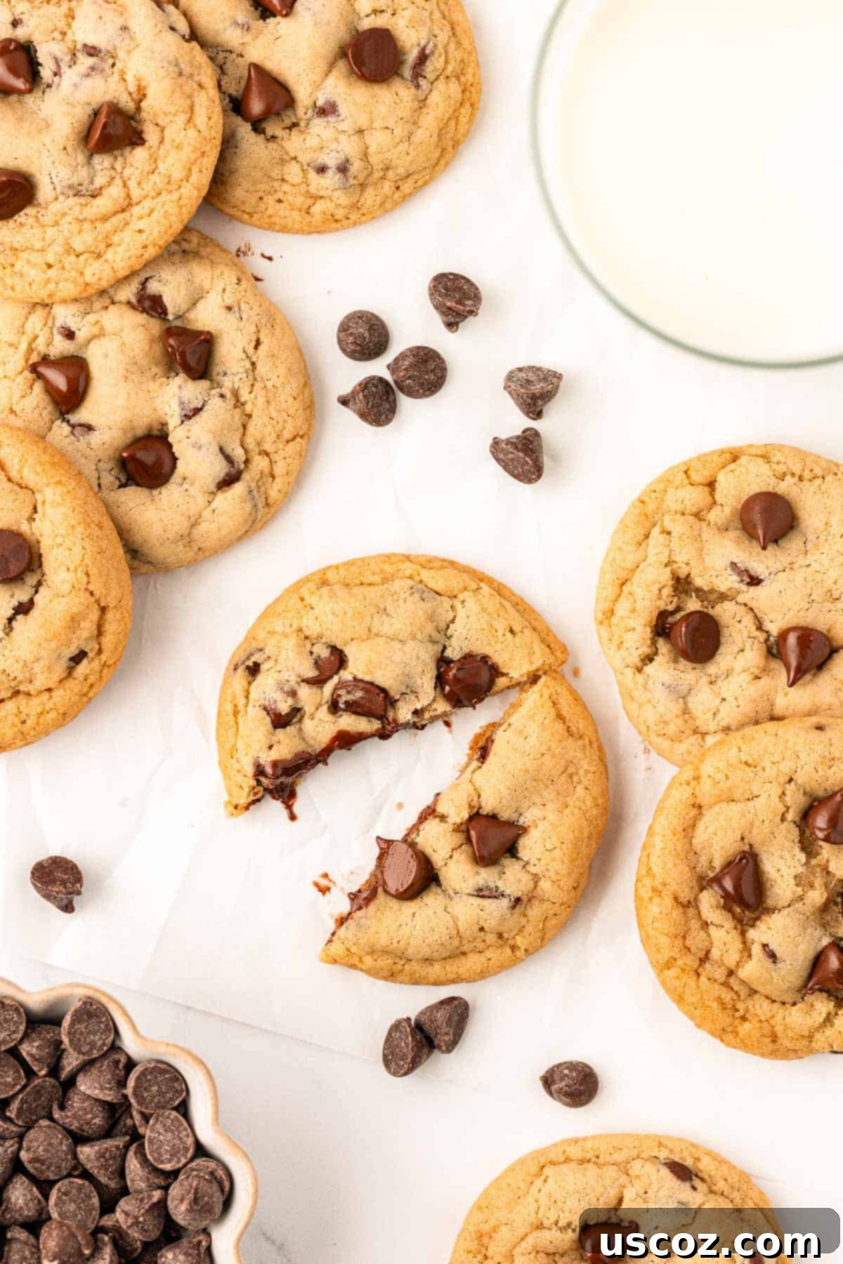 Delicious Vegan Chocolate Chip Cookies 20 a single, perfectly baked vegan chocolate chip cookie