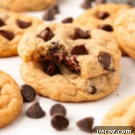 Delicious Vegan Chocolate Chip Cookies 21 vegan chocolate chip cookies