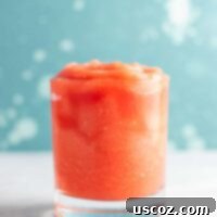 Summer Gin Watermelon Bliss 12 Delicious tropical watermelon gin slushie ready to drink