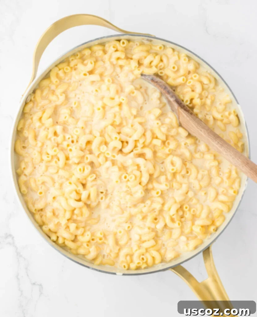 Golden Baked Macaroni Perfection 11 cheese sauce and macaroni noodles mixed together