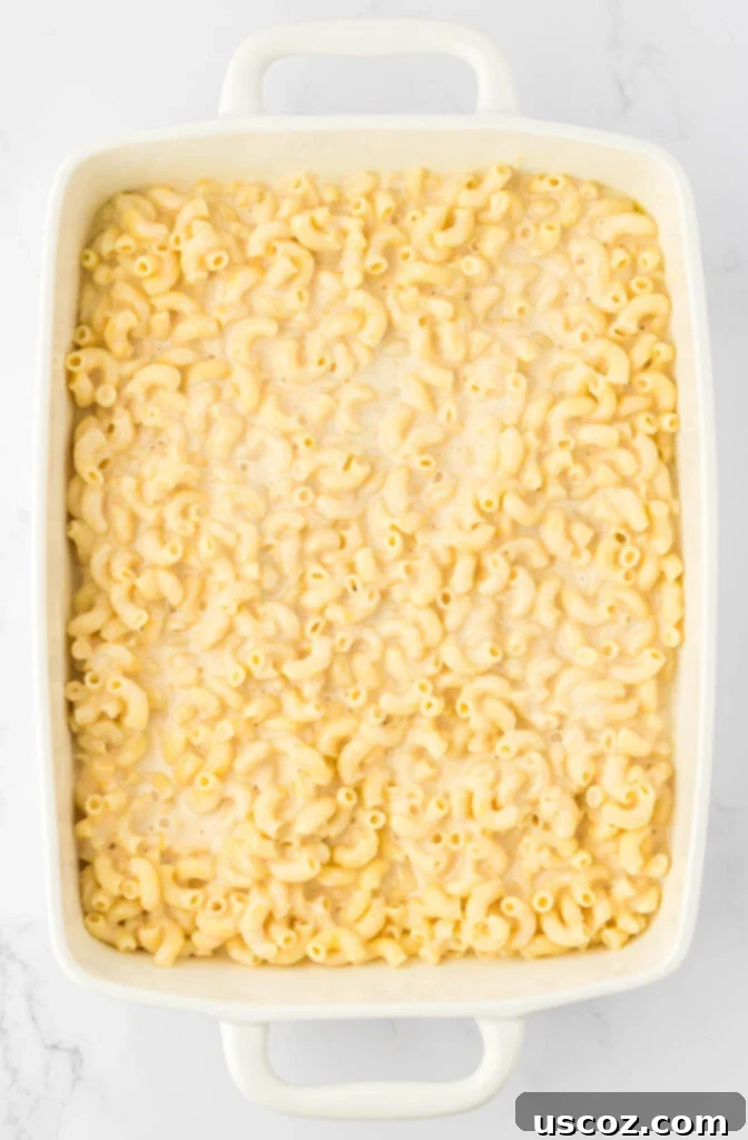 Golden Baked Macaroni Perfection 12 macaroni and cheese in a baking dish