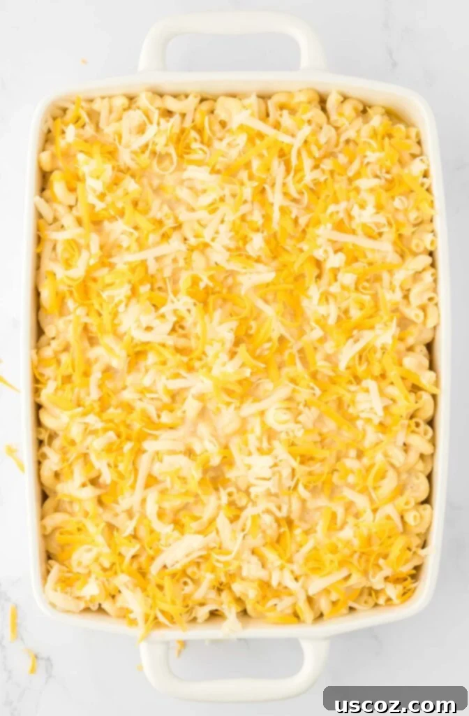Golden Baked Macaroni Perfection 15 macaroni and cheese in a baking dish topped with cheese