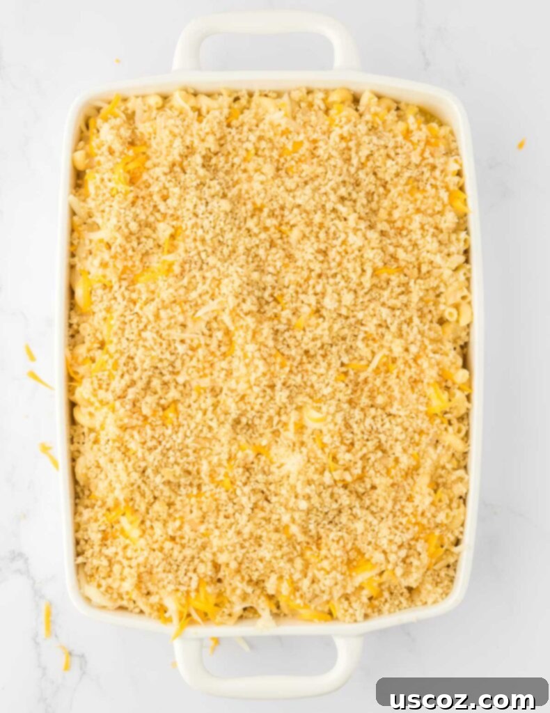 Golden Baked Macaroni Perfection 17 mac and cheese topped with bread crumb mixture