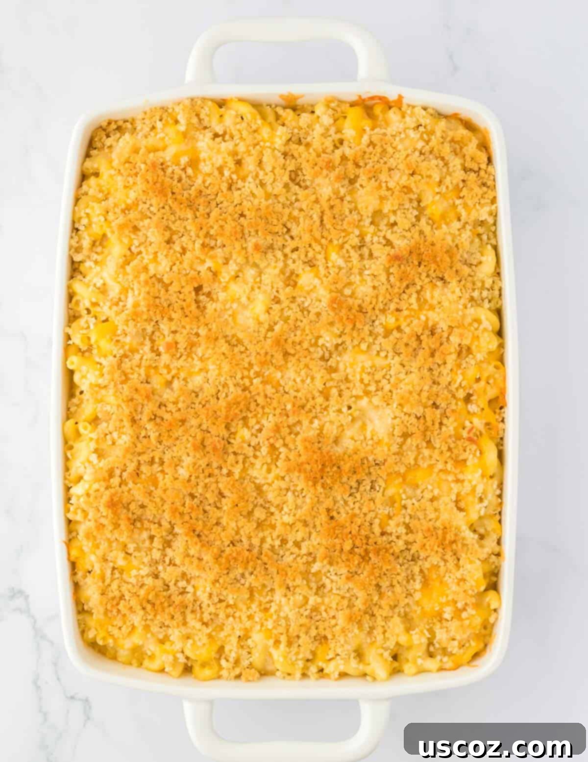 Golden Baked Macaroni Perfection 18 baked macaroni and cheese