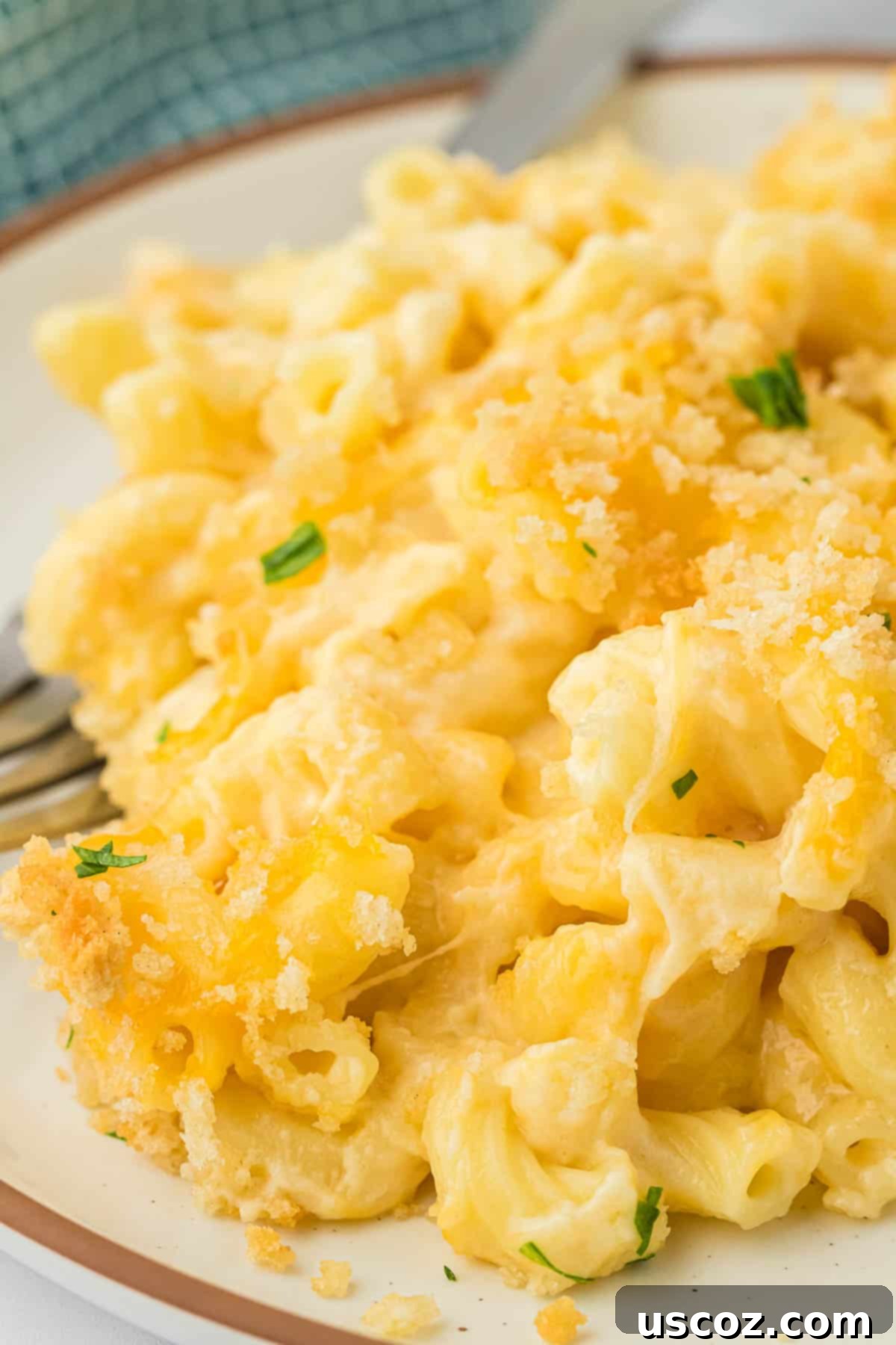 Golden Baked Macaroni Perfection 20 baked macaroni and cheese