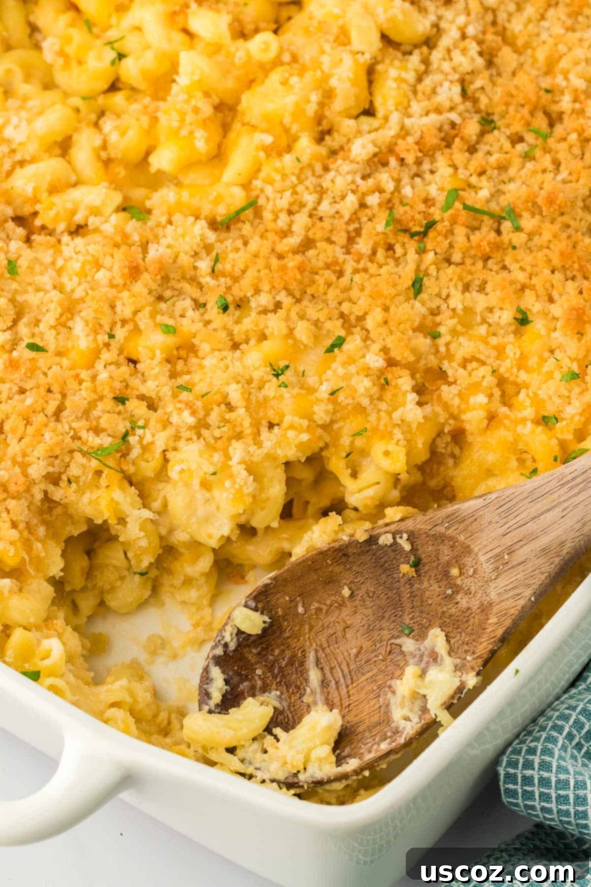 Golden Baked Macaroni Perfection 25 baked macaroni and cheese