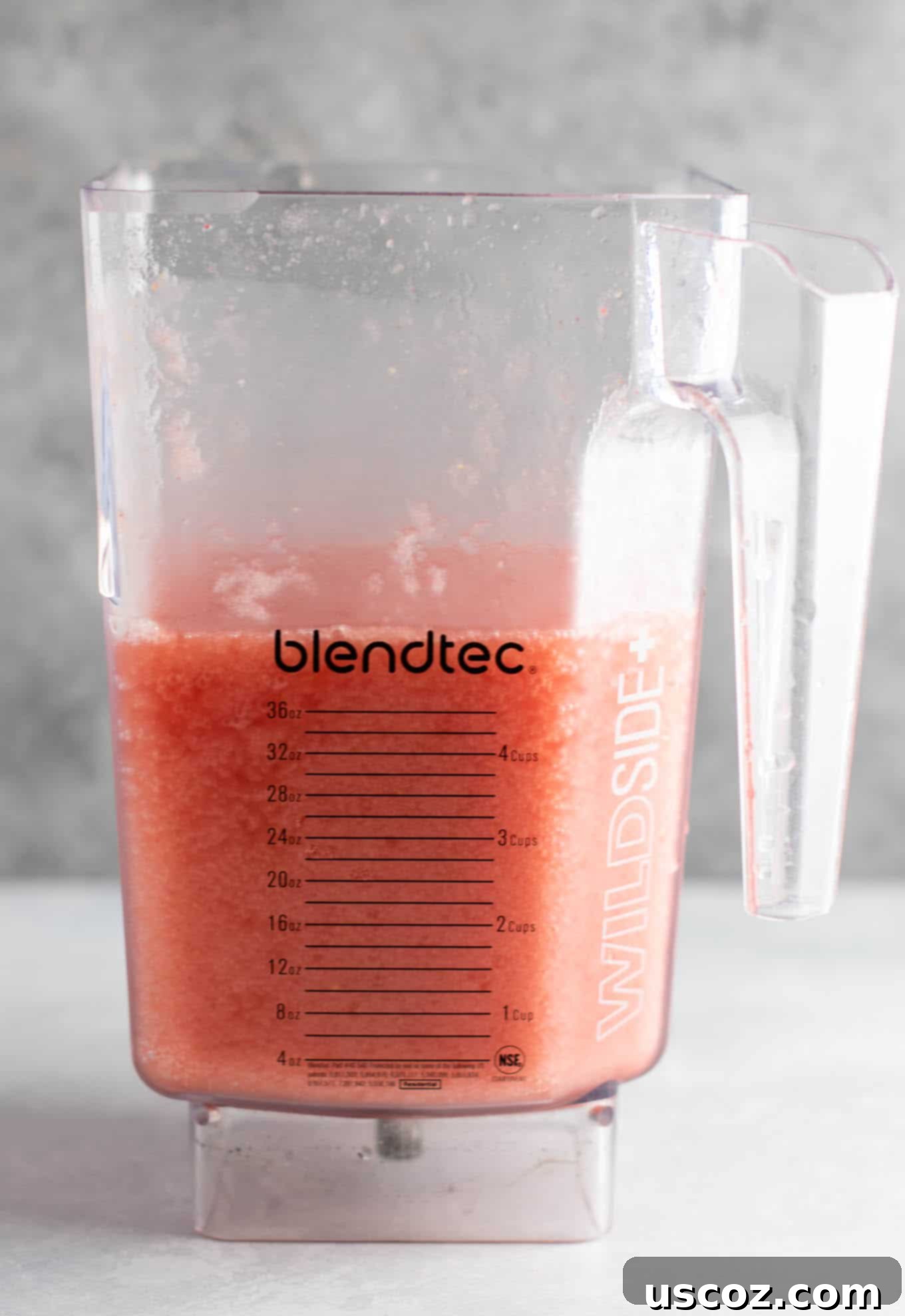 A close-up shot of a single glass of watermelon white wine slushie, garnished with a watermelon wedge and a sprig of mint, ready to be enjoyed.
