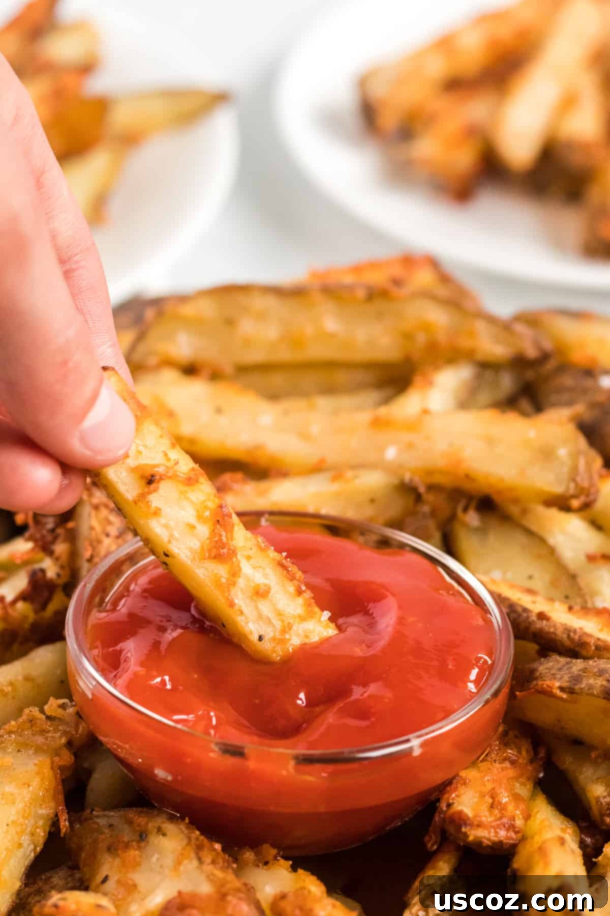 Garlic Parmesan Baked Potato Wedges 7 A close-up view of a parmesan crusted potato wedge being dipped into a small bowl of vibrant red ketchup, showcasing its golden, crispy texture and enticing the viewer to try it.