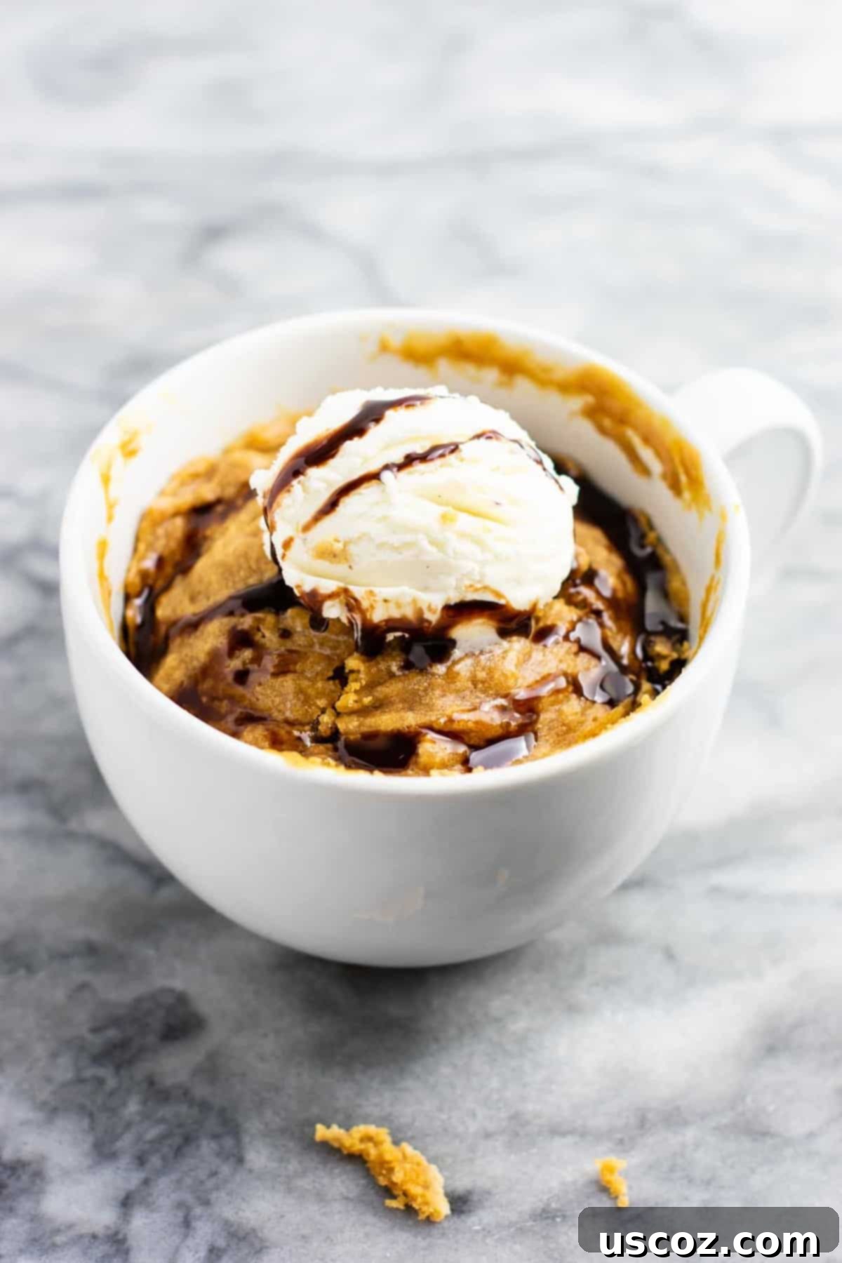 25 Decadent Gluten-Free Dairy-Free Desserts 13 A warm, gooey microwave peanut butter cookie mug cake, served in a mug, showcasing its gluten-free, dairy-free, and refined sugar-free qualities.