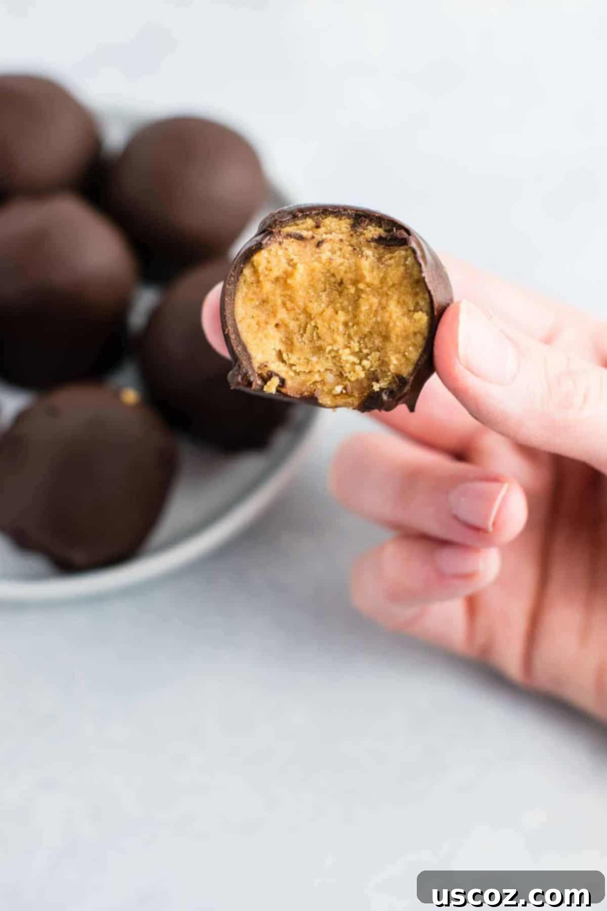 25 Decadent Gluten-Free Dairy-Free Desserts 14 Close-up of healthy no-bake peanut butter truffles, resembling buckeyes, coated in chocolate and presented on a plate.
