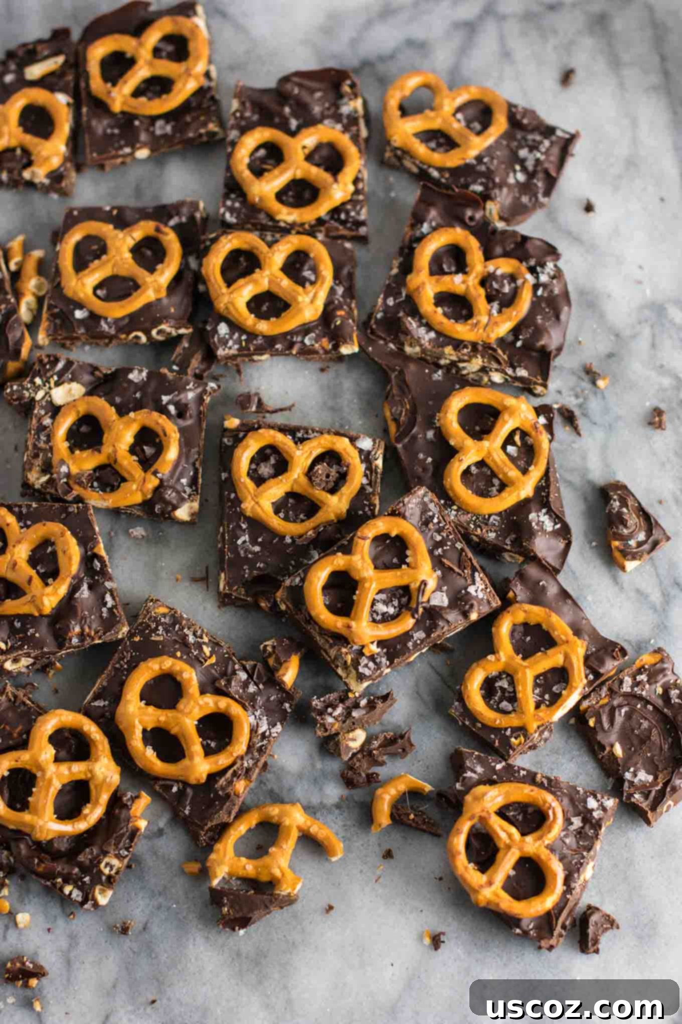 25 Decadent Gluten-Free Dairy-Free Desserts 17 Irresistible vegan chocolate sea salt pretzel bark with visible pretzel pieces and flaky sea salt.
