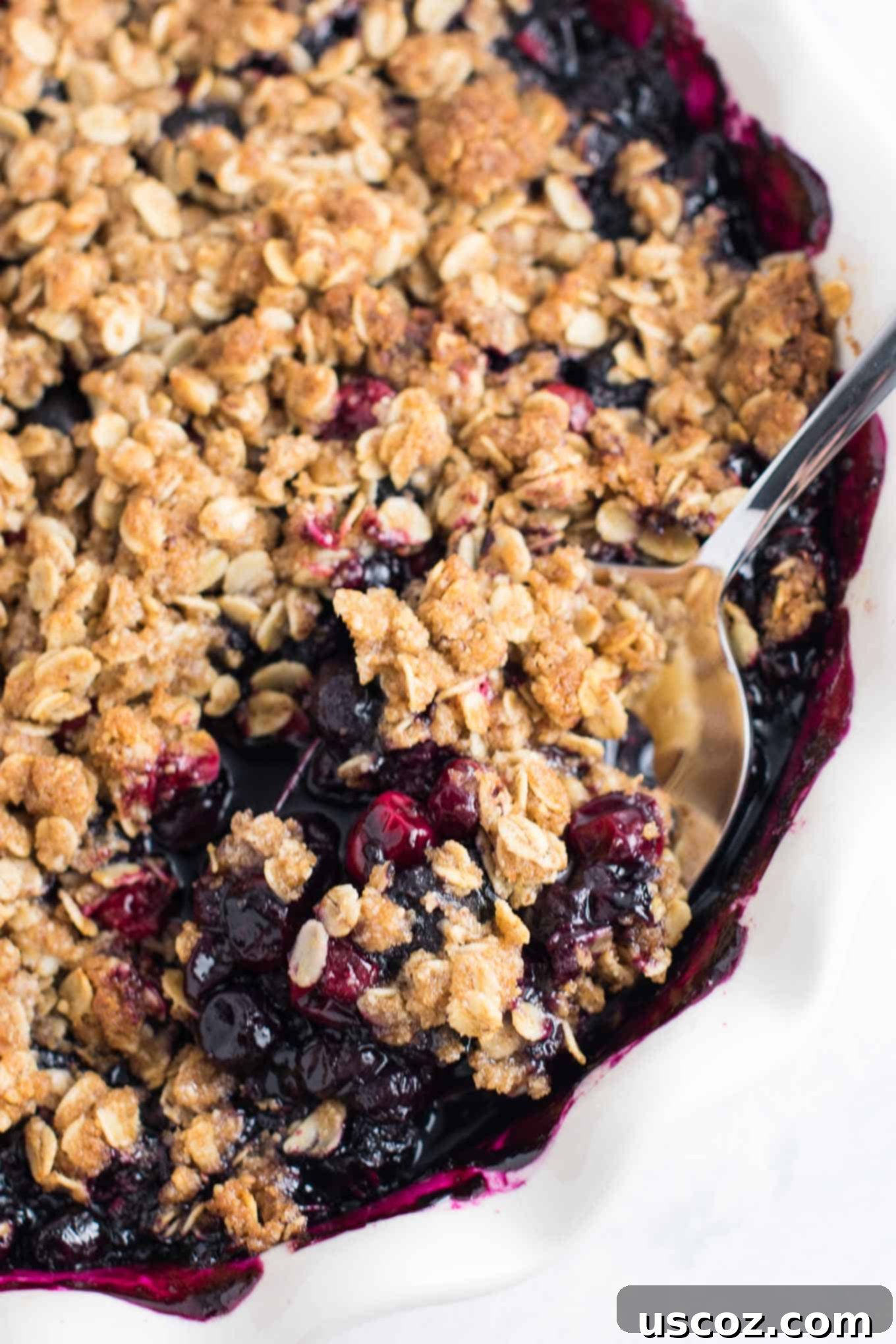 25 Decadent Gluten-Free Dairy-Free Desserts 19 Delicious cranberry blueberry crisp, perfect for fall and holidays, served warm with a scoop of dairy-free ice cream.