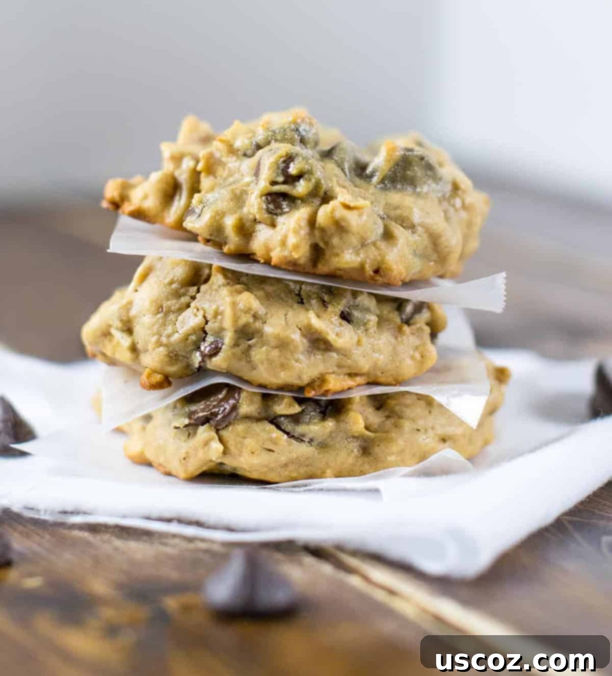 25 Decadent Gluten-Free Dairy-Free Desserts 4 Close-up of three flourless peanut butter oatmeal chocolate chip cookies, showing their chewy texture and melted chocolate chips.