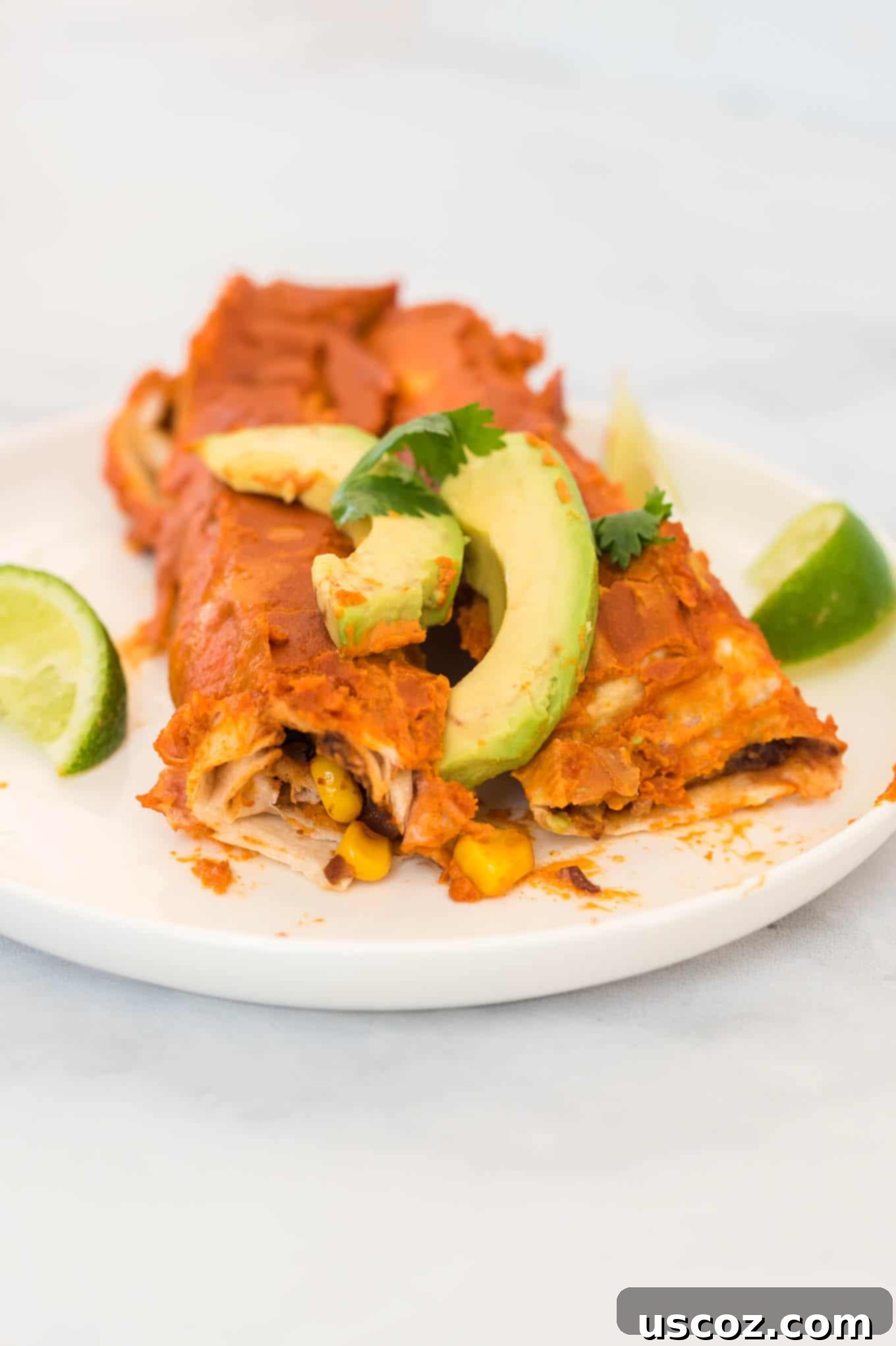 Unlock 29 Delicious Vegan Dinners 16 Two vegan enchiladas on a white plate topped with avocado and cilantro, served with limes.