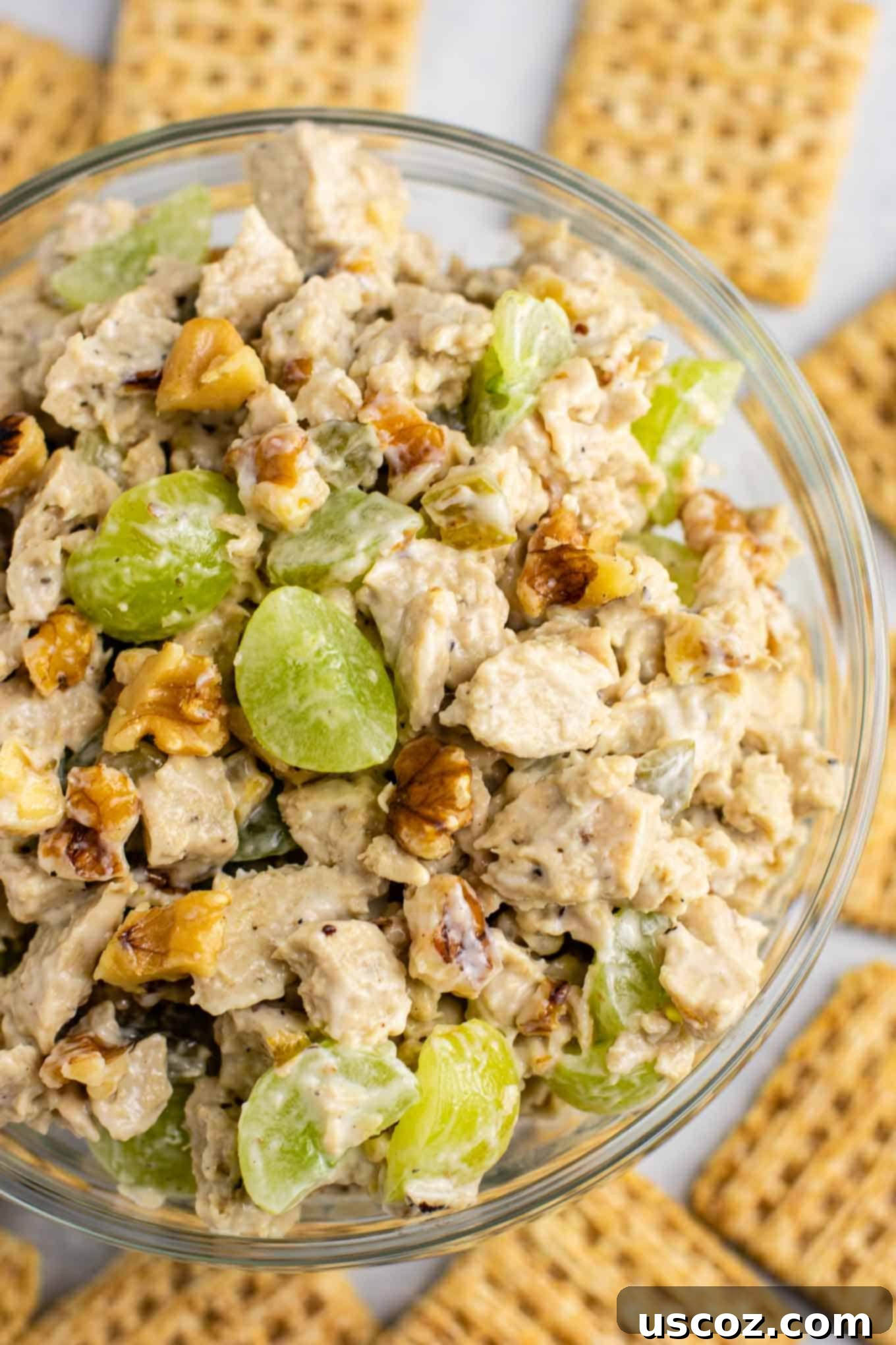 A bowl of vegan chicken salad with grapes and pecans, presented as a healthy and satisfying meal.