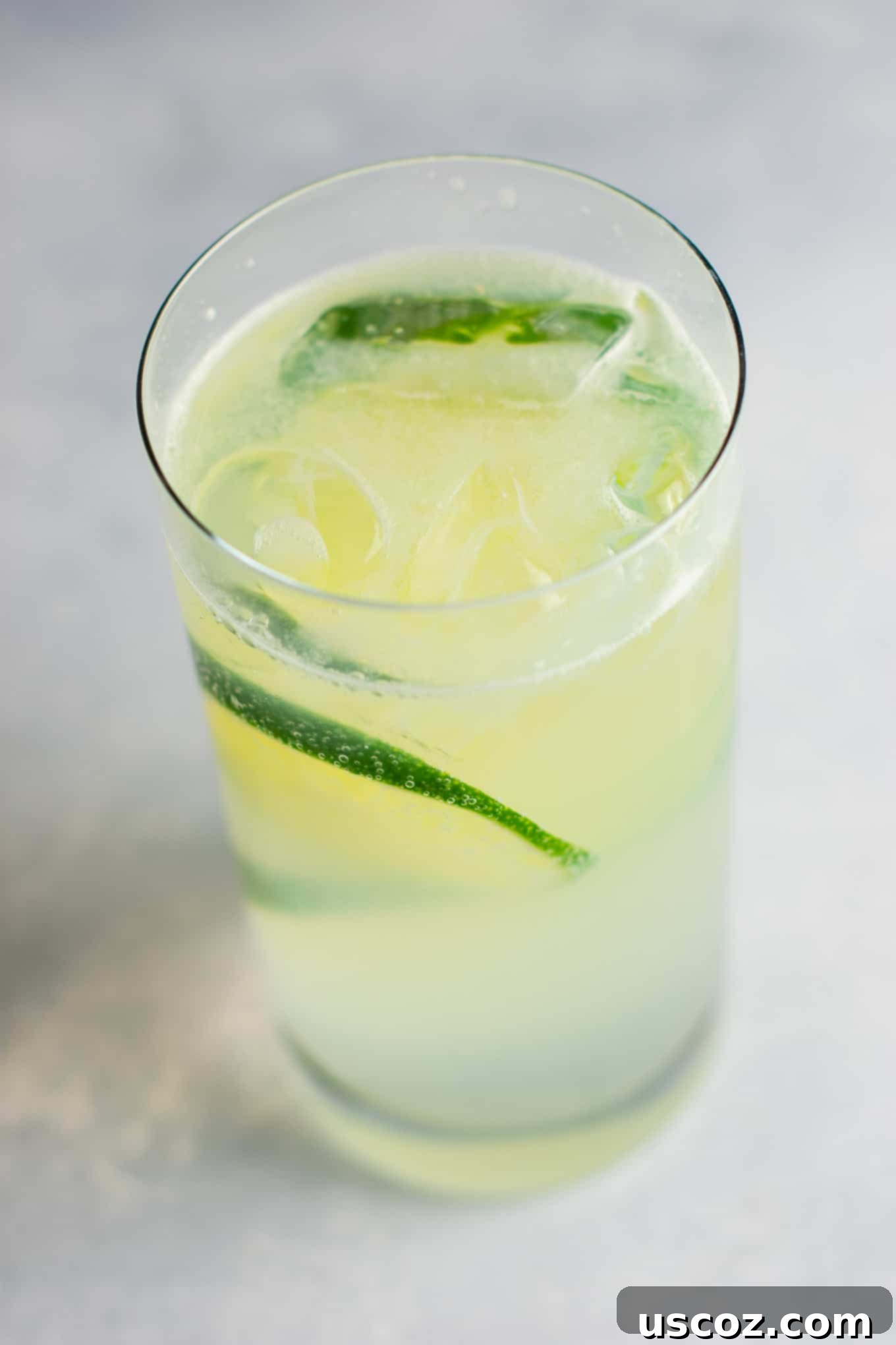 Classic Gin Rickey 4 How to make gin rickey recipe – classic favorite + it’s a healthy alcoholic drink! #ginrickey #healthydrink #healthyalcoholicdrink #gin #gindrink #drinks #healthylifestyle