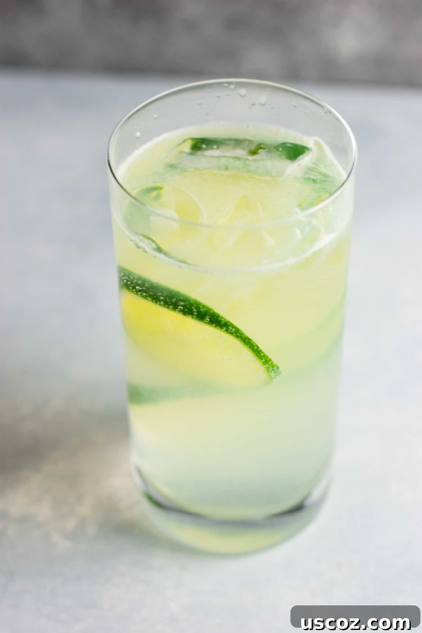 Classic Gin Rickey 6 How to make gin rickey recipe – classic favorite + it’s a healthy alcoholic drink! #ginrickey #healthydrink #healthyalcoholicdrink #gin #gindrink #drinks #healthylifestyle