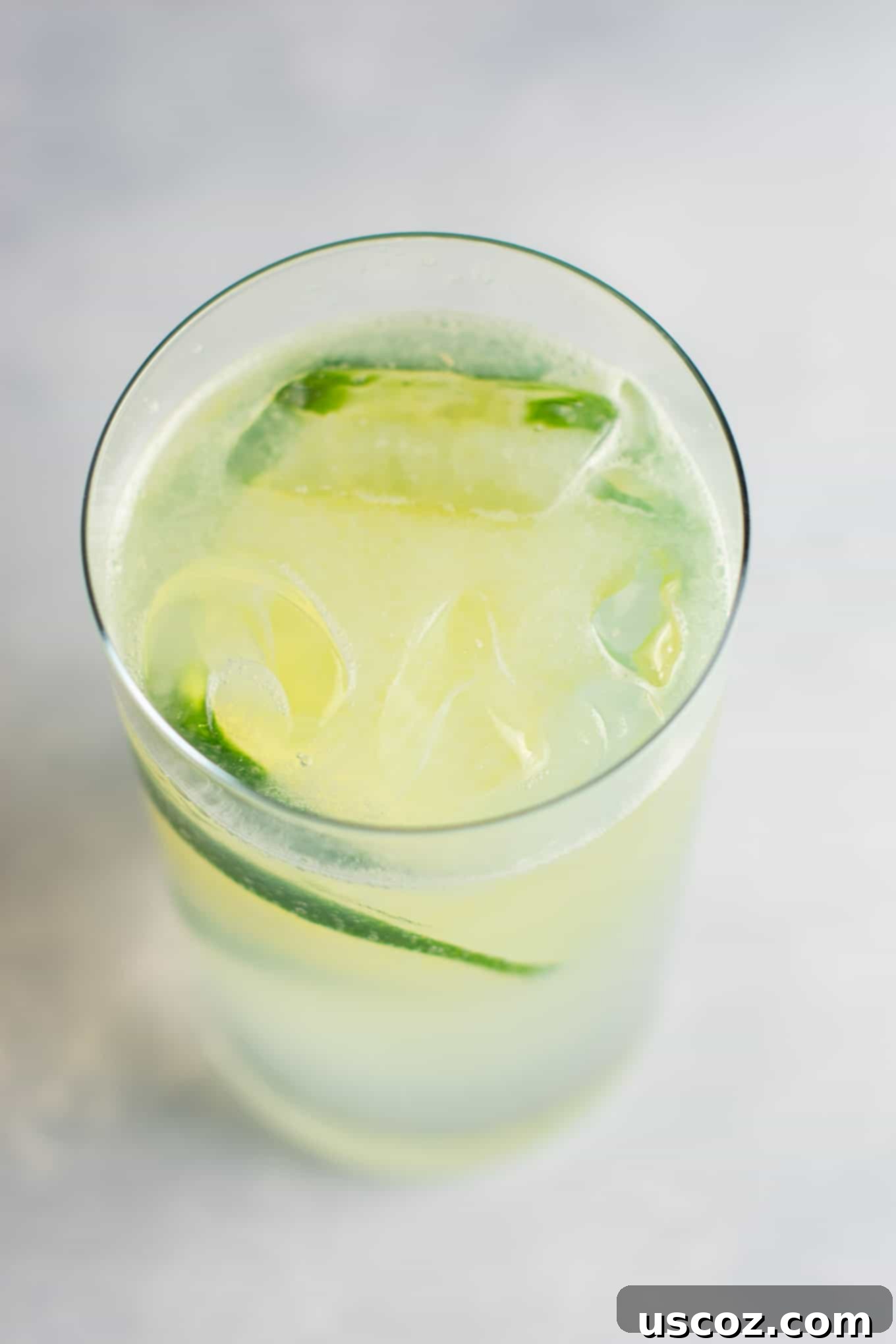 Classic Gin Rickey 7 How to make gin rickey recipe – classic favorite + it’s a healthy alcoholic drink! #ginrickey #healthydrink #healthyalcoholicdrink #gin #gindrink #drinks #healthylifestyle