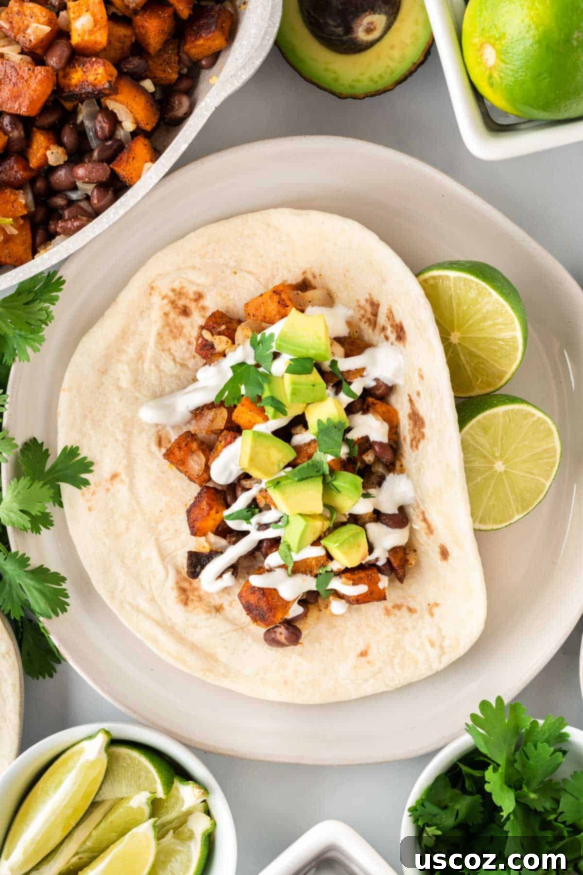 Sweet Potato Fiesta 15 open faced black bean sweet potato taco on a plate topped with sour cream, cilantro, and avocado