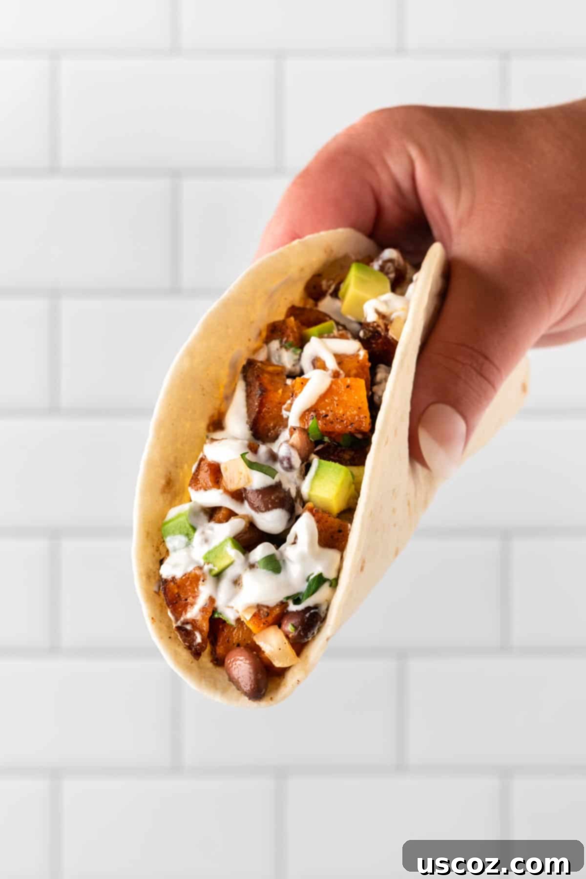Sweet Potato Fiesta 17 a hand holding a sweet potato soft taco