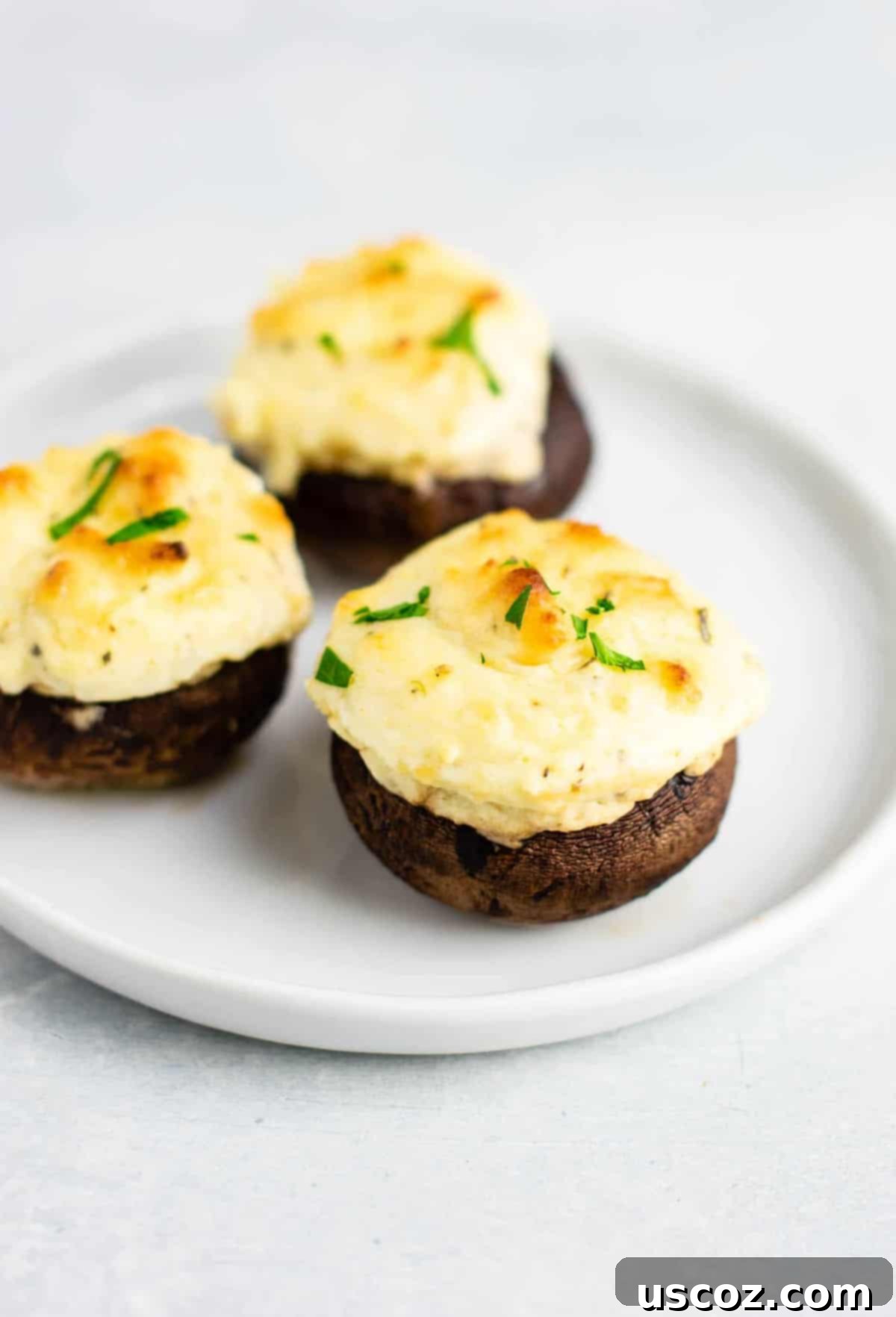 Hearty Stuffed Portobello Delights 2 Stuffed Portobello Mushroom Recipe