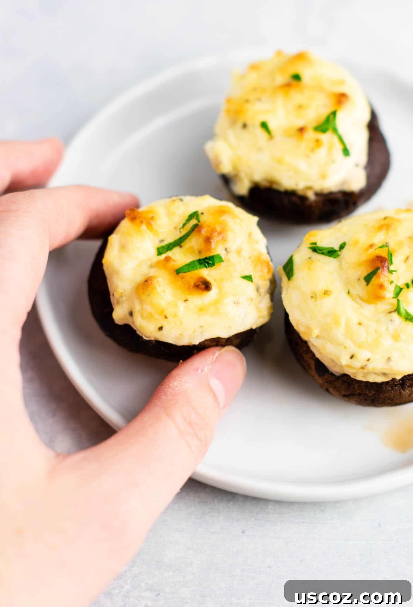 Hearty Stuffed Portobello Delights 7 Easy Stuffed Mushroom Appetizer