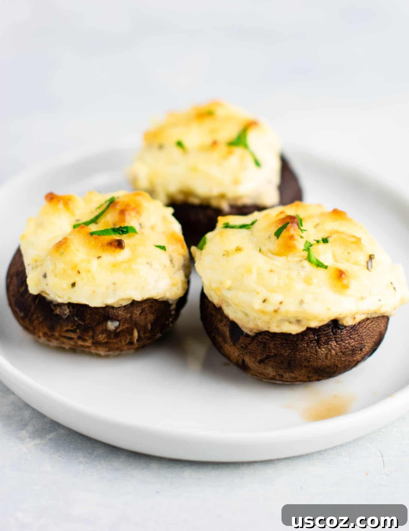 Hearty Stuffed Portobello Delights 10 Easy Stuffed Portobello mushrooms with cream cheese and sour cream – a healthy vegetarian appetizer! (and low carb) #easyrecipe #creamcheese #vegetarian #appetizer #vegetarianappetizer #lowcarb #healthy #healthyrecipe #healthyappetizer