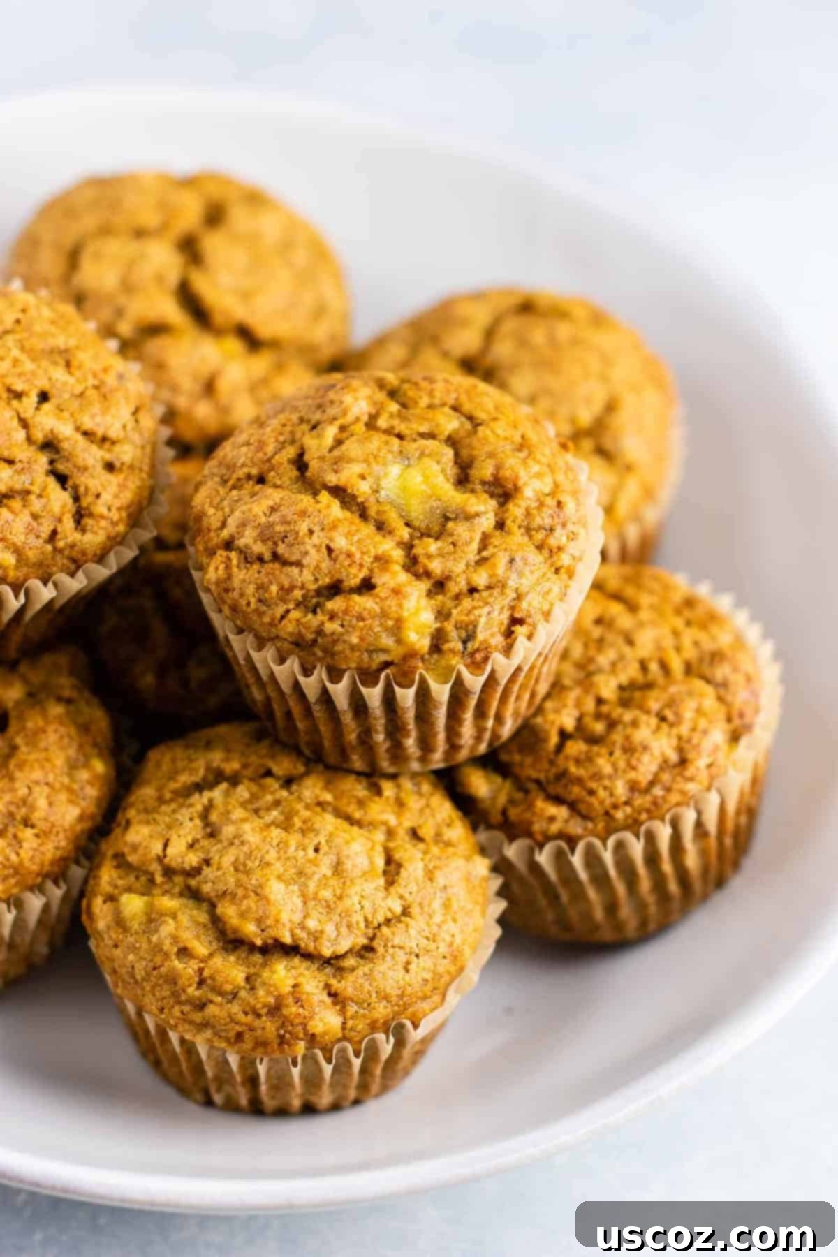 Moist Vegan Banana Muffins 2 close-up of vegan banana muffins recipe with applesauce, showing a golden brown top
