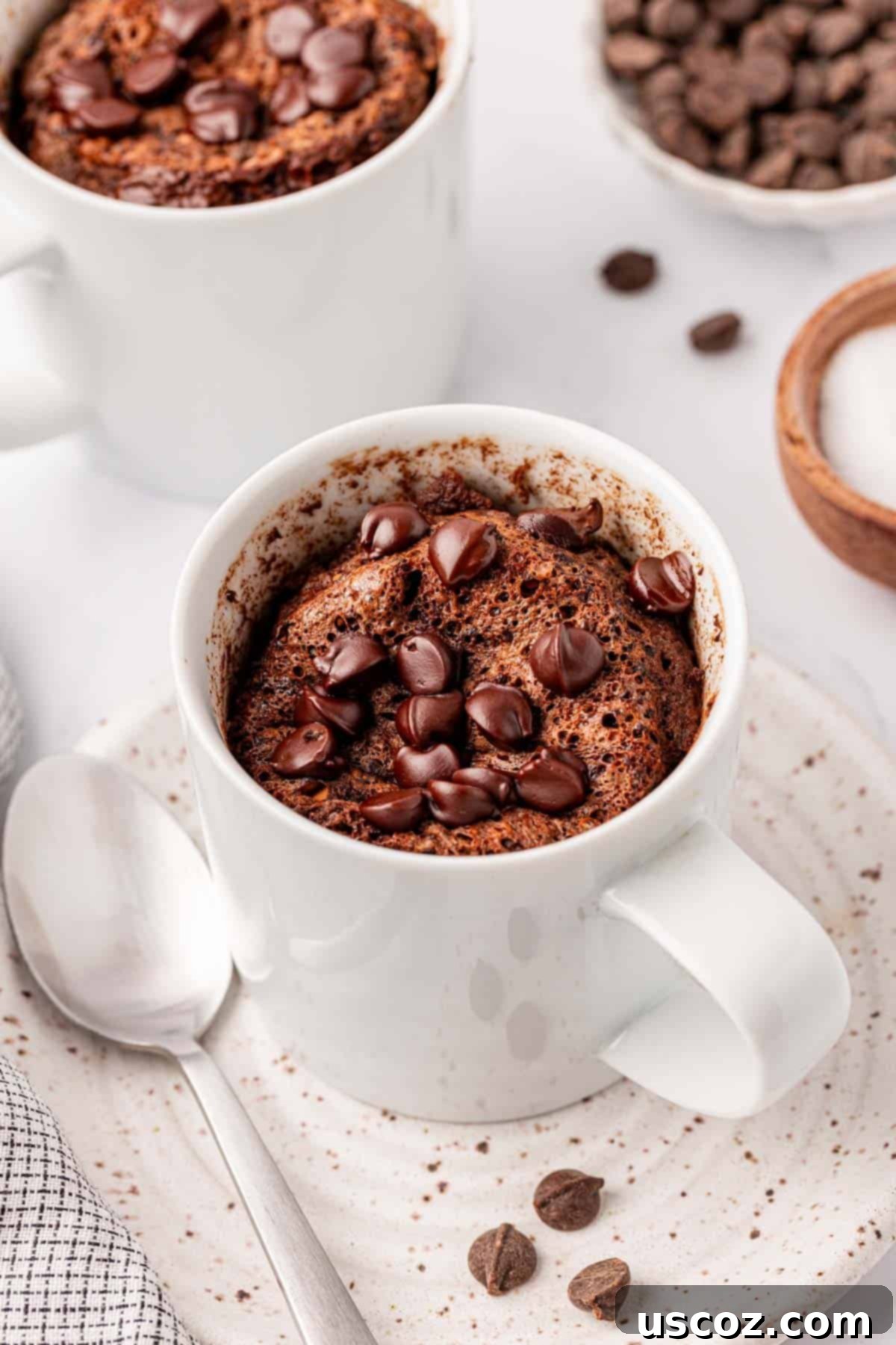 High Protein Chocolate Mug Cake 2 chocolate protein mug cake