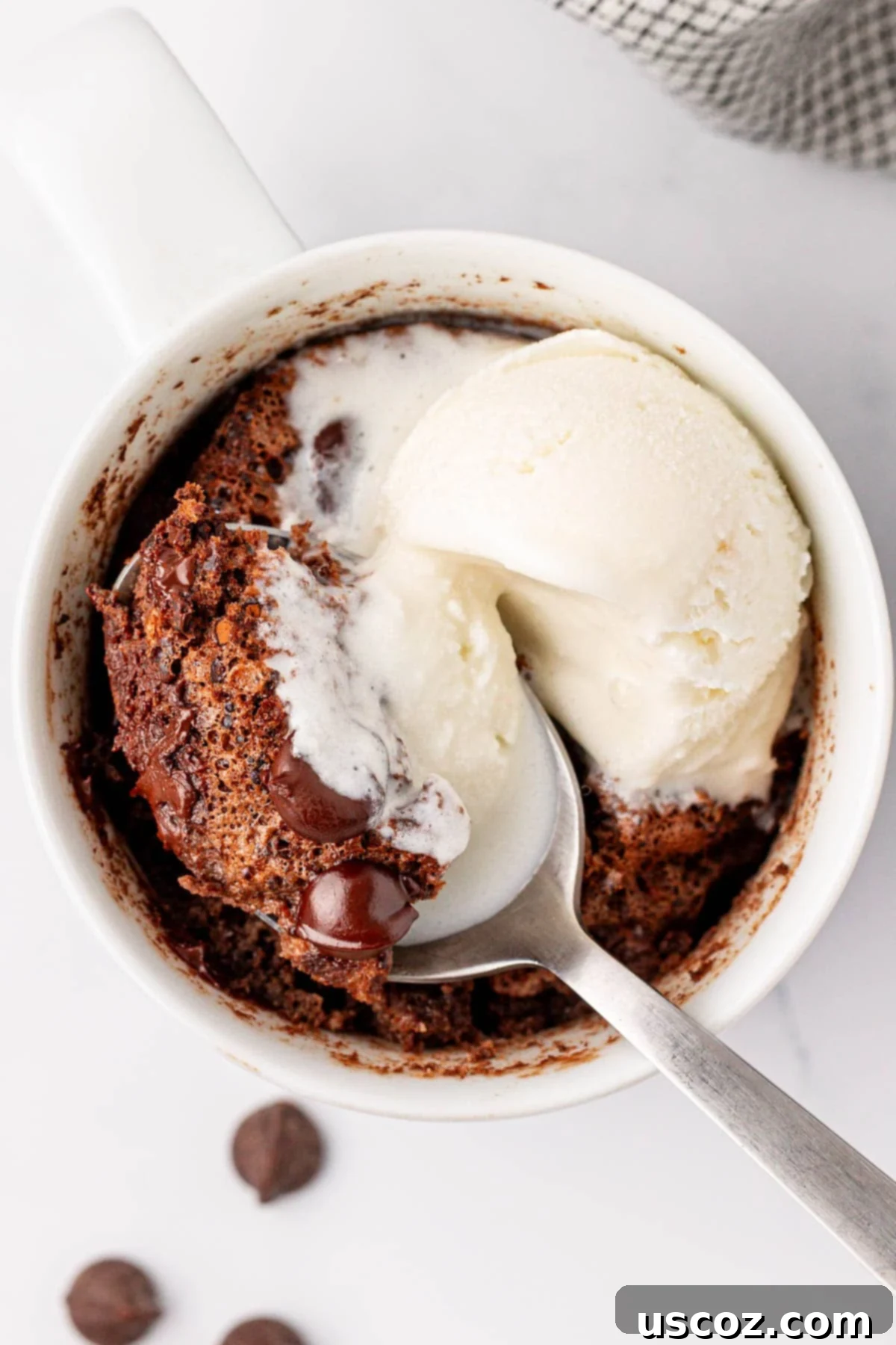 High Protein Chocolate Mug Cake 10 chocolate protein mug cake topped with vanilla ice cream