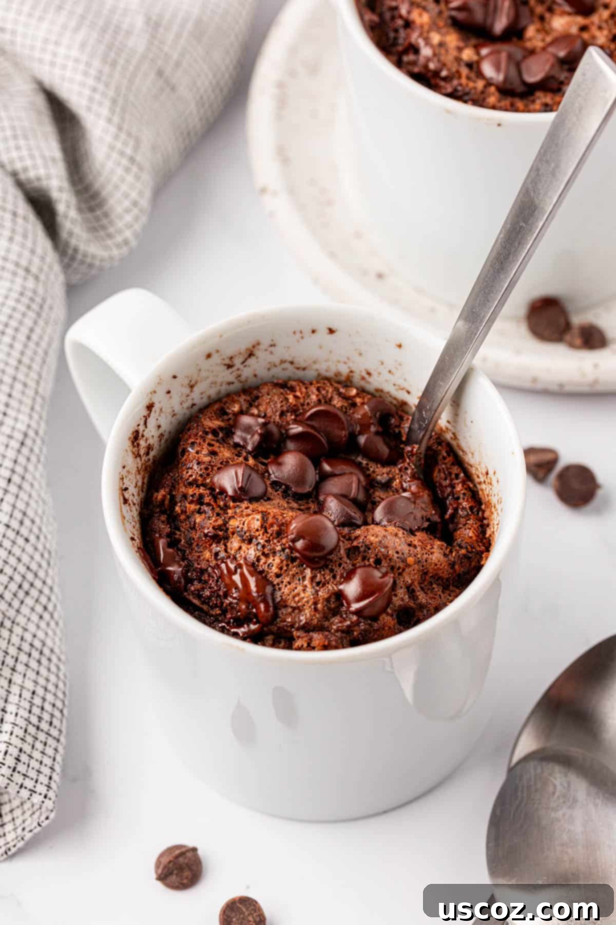 High Protein Chocolate Mug Cake 12 chocolate protein mug cake