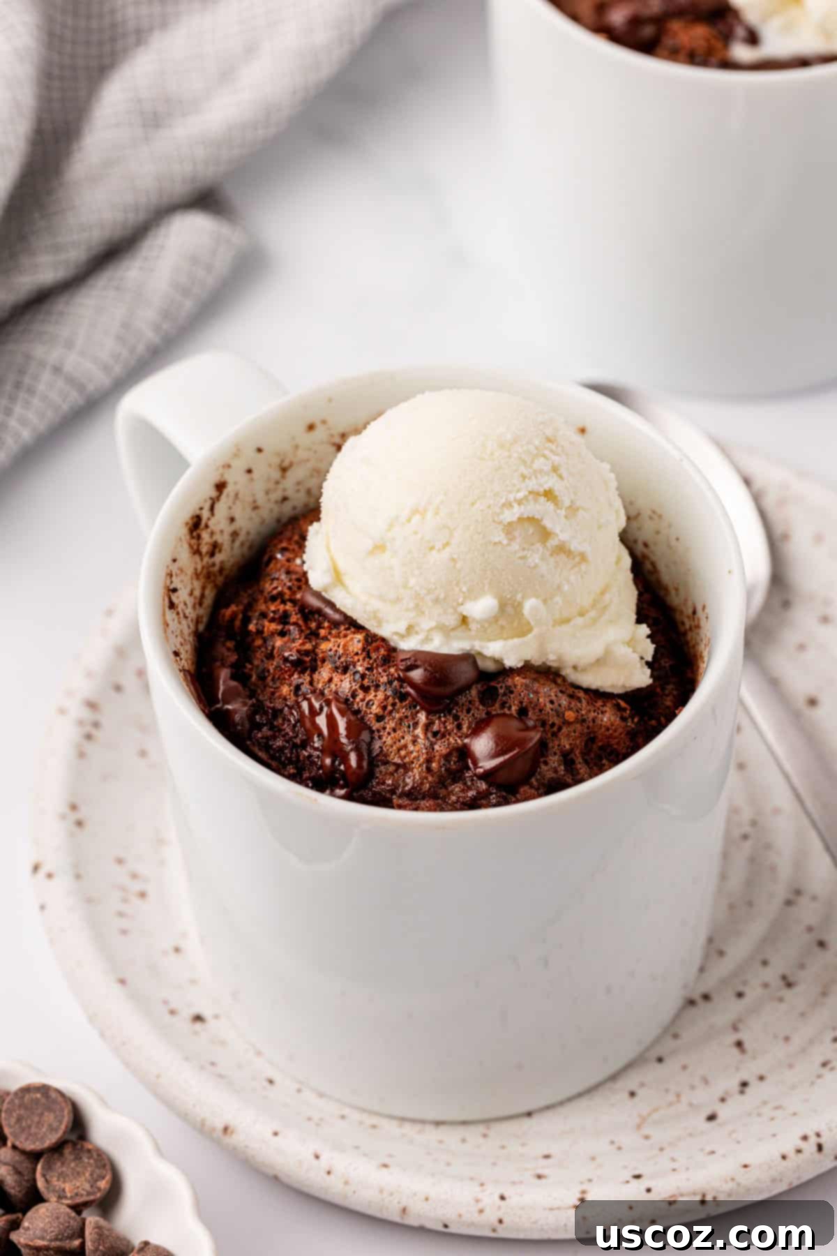 High Protein Chocolate Mug Cake 13 chocolate protein mug cake topped with vanilla ice cream