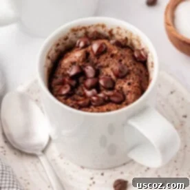High Protein Chocolate Mug Cake 14 chocolate protein mug cake