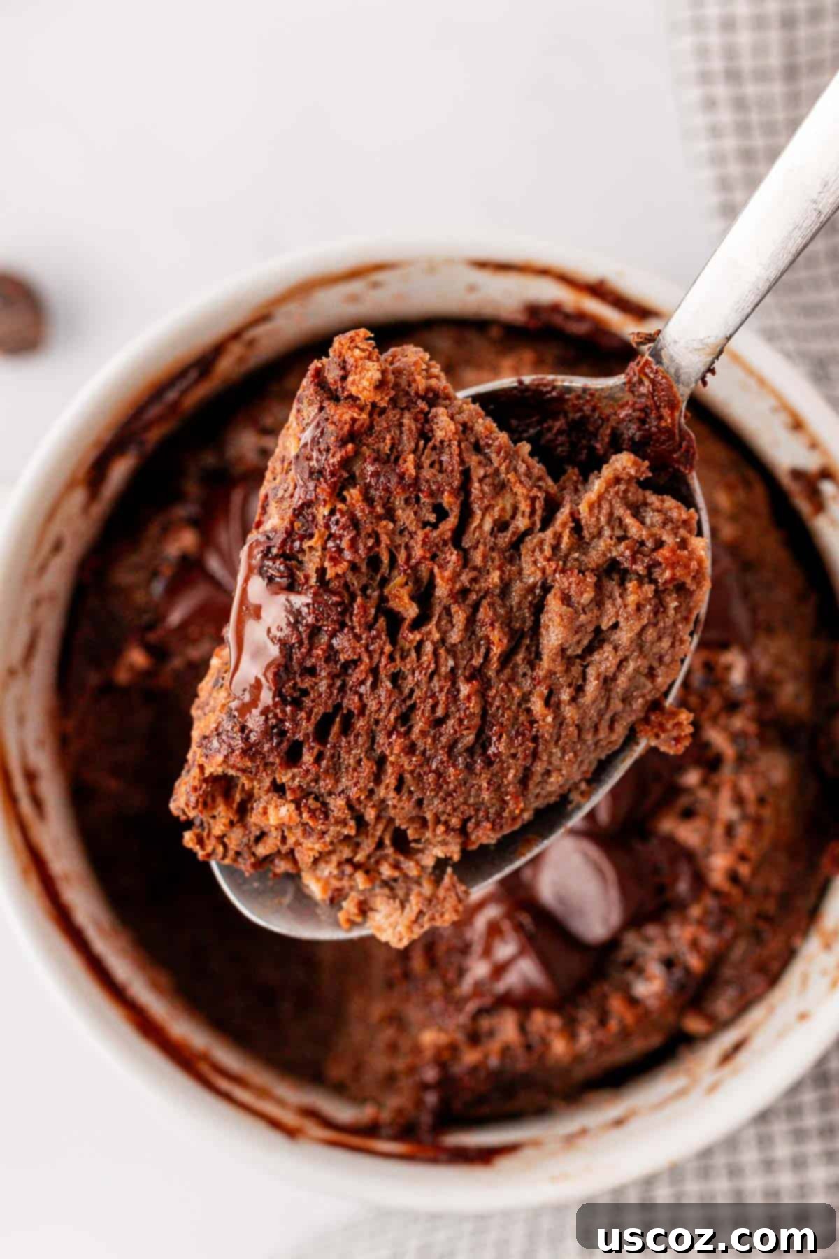 High Protein Chocolate Mug Cake 9 a spoonful of chocolate protein cake
