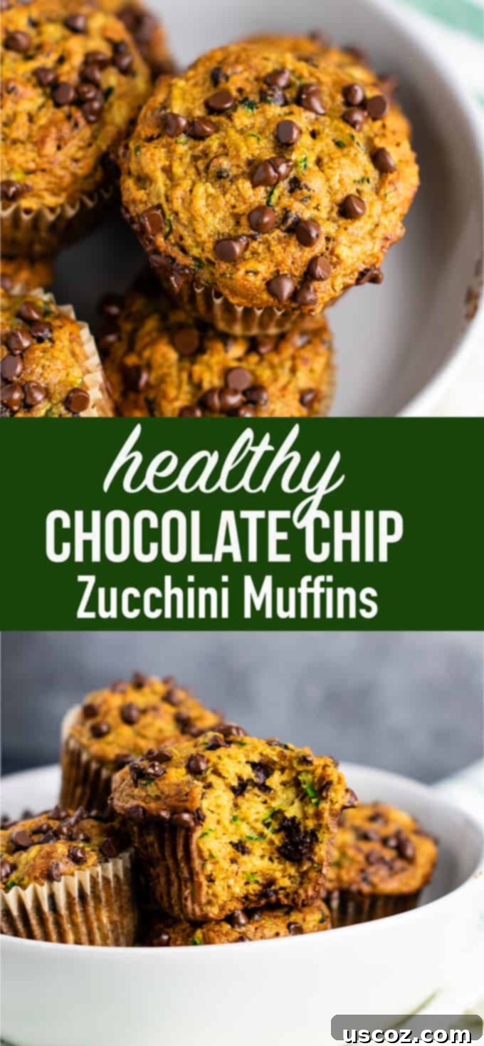 Moist Zucchini Chocolate Chip Muffins 11 Healthy chocolate chip zucchini muffins made with easy ingredients. Perfect for using up all of that summer zucchini! #zucchini #muffins #chocolatechip #healthy #breakfast #vegetarian