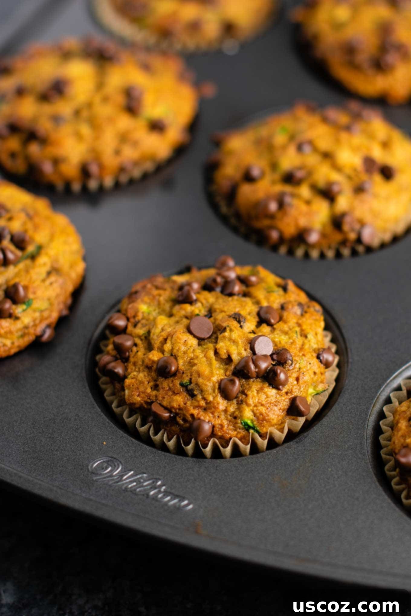 Moist Zucchini Chocolate Chip Muffins 4 easy muffin recipe with zucchini