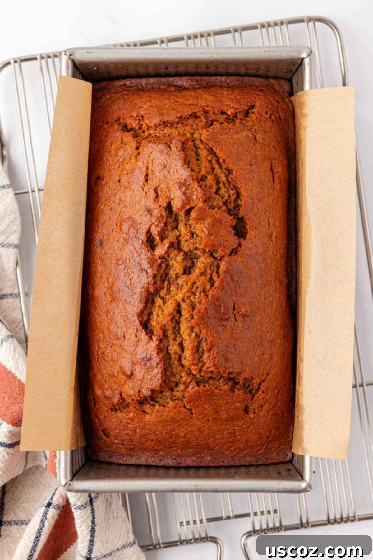 Unbaked pumpkin bread batter in a loaf pan, ready for the oven