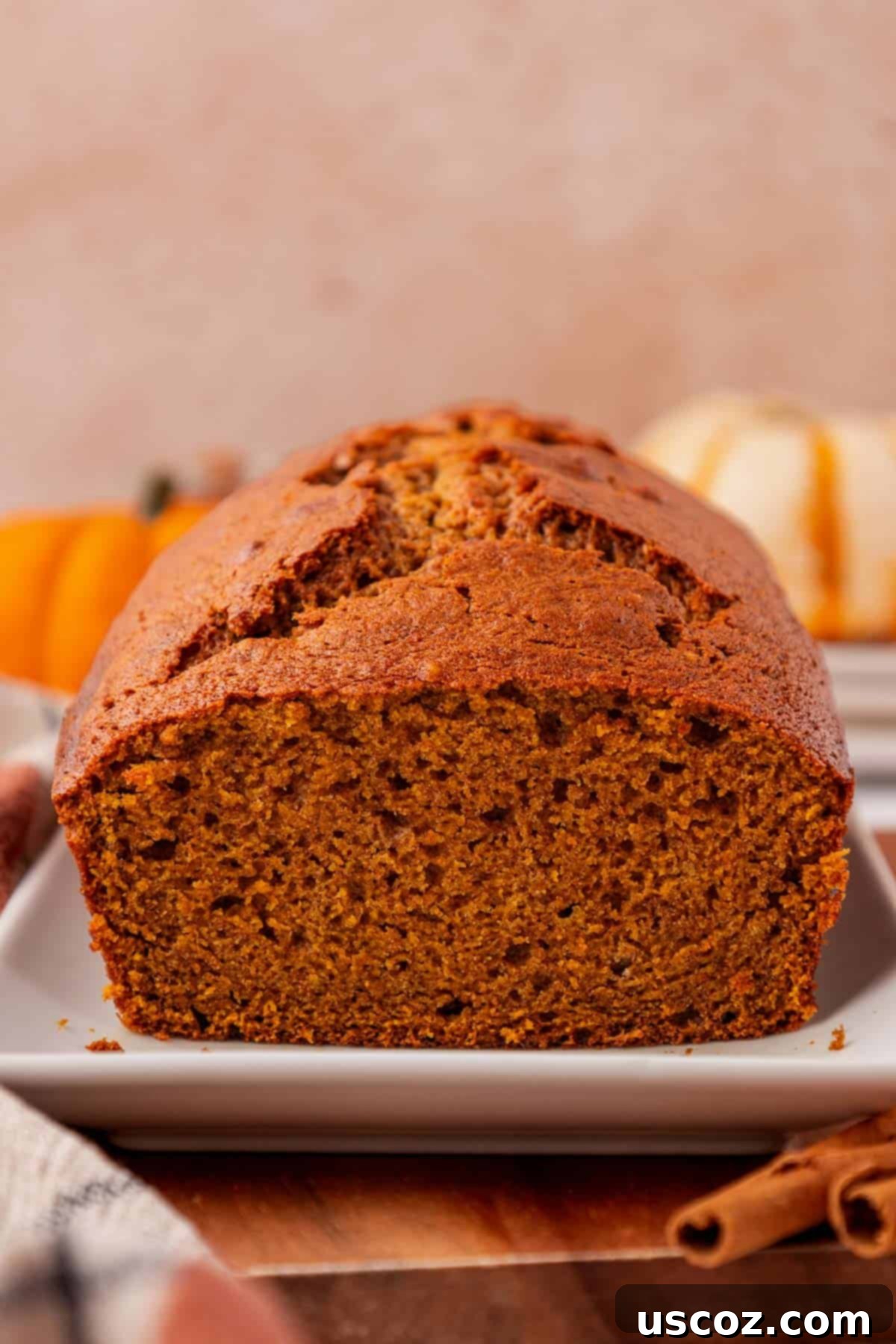 A beautifully baked pumpkin bread cooling in its loaf pan on a wire rack