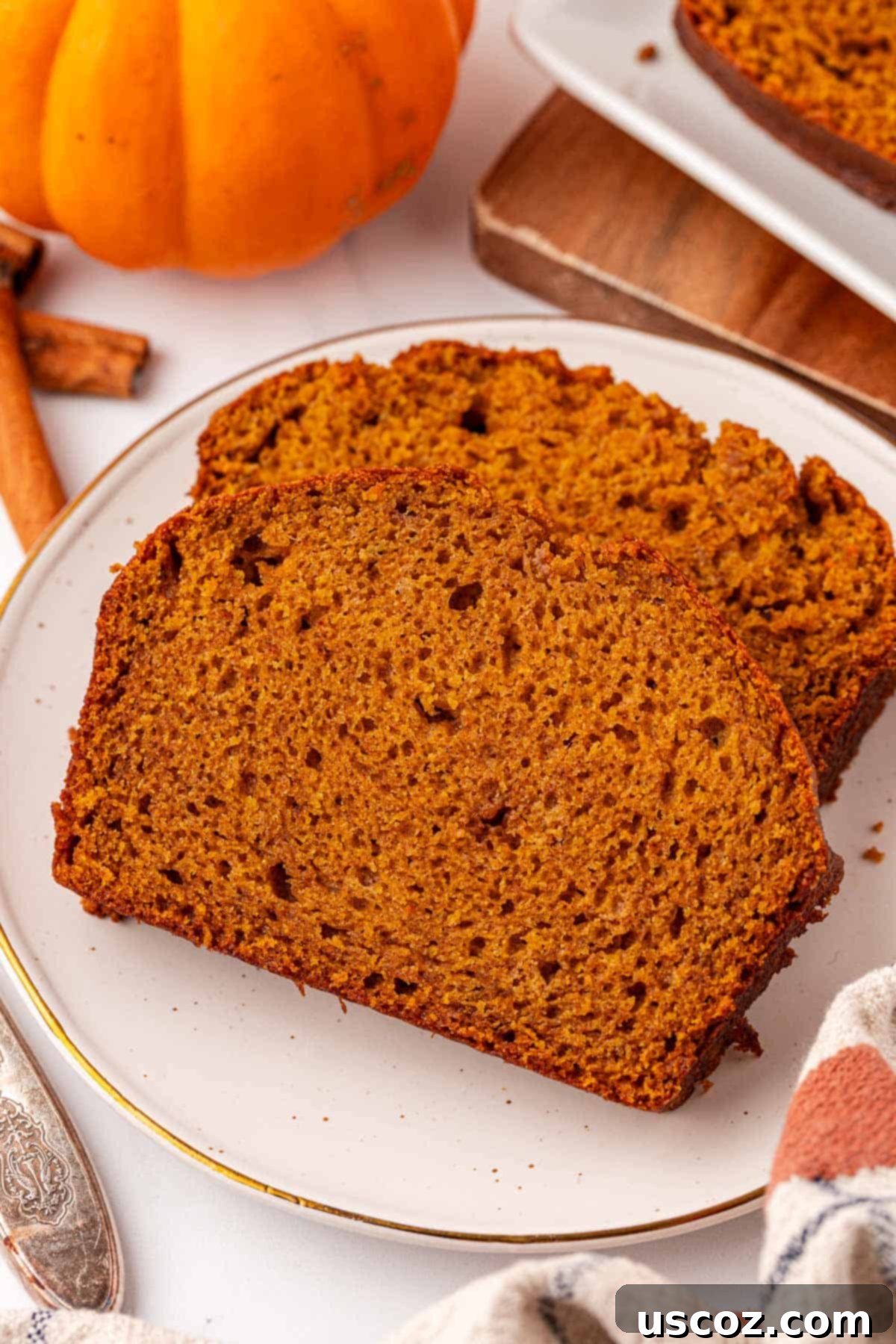 A delectable slice of moist pumpkin bread, showing its tender crumb and rich color