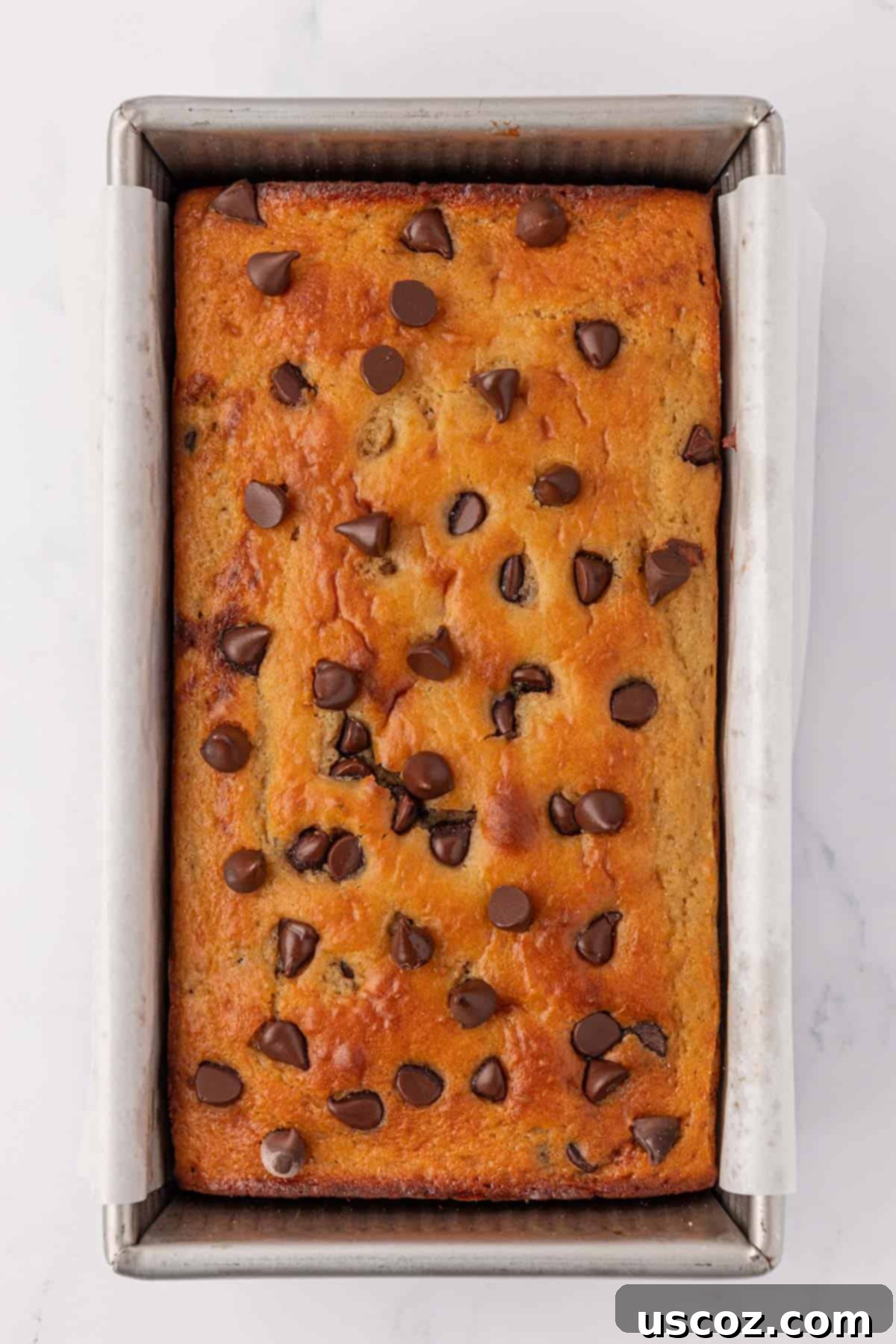 Freshly baked Greek yogurt chocolate chip quick bread on a cooling rack