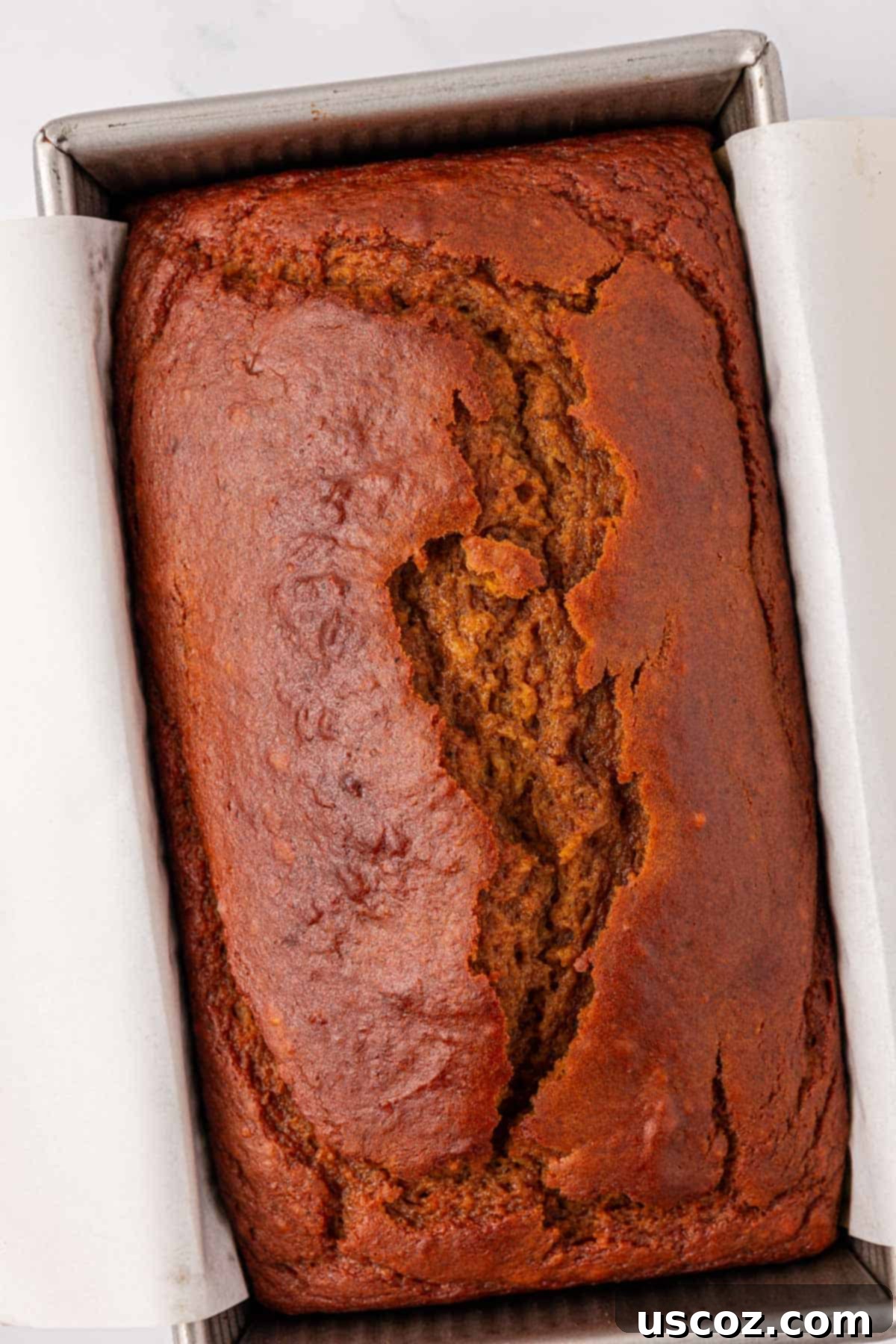 Greek yogurt pumpkin bread loaf in the baking pan