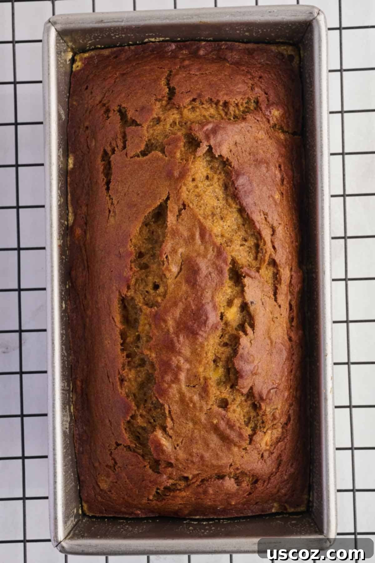 Baked loaf of pumpkin banana bread, showcasing its golden-brown crust and perfect rise